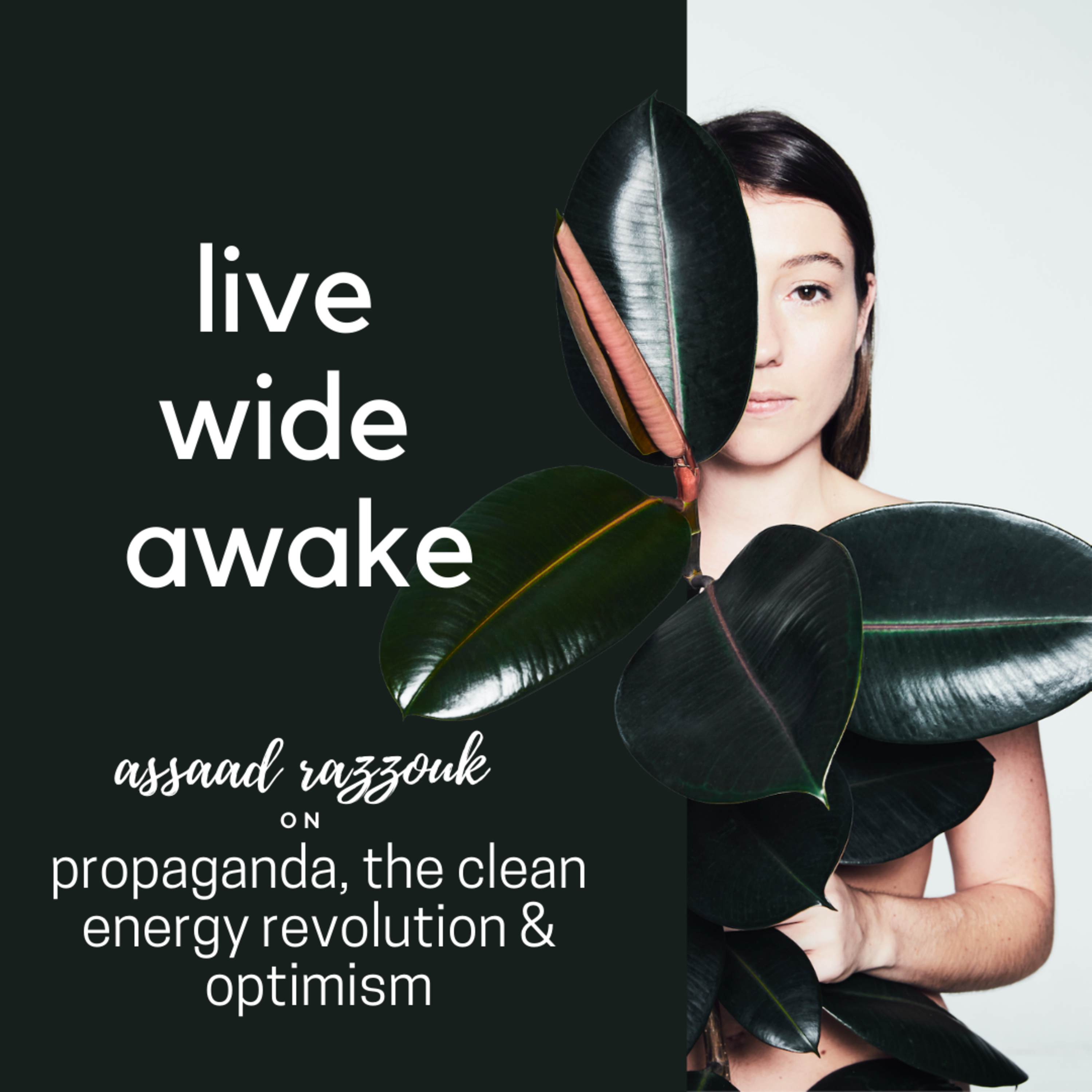 Live Wide Awake - Sustainability & Conscious Leadership