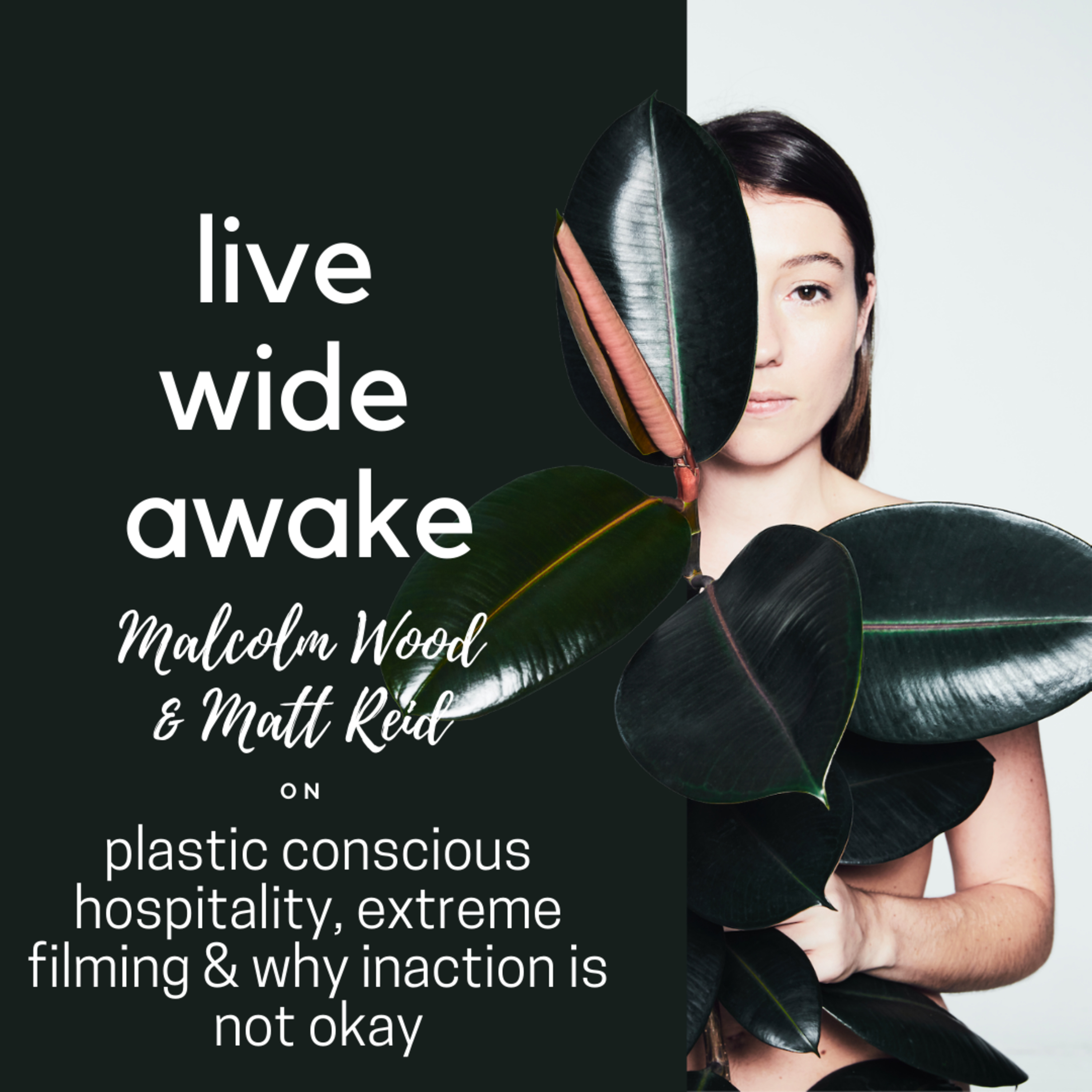 Live Wide Awake - Sustainability & Conscious Leadership