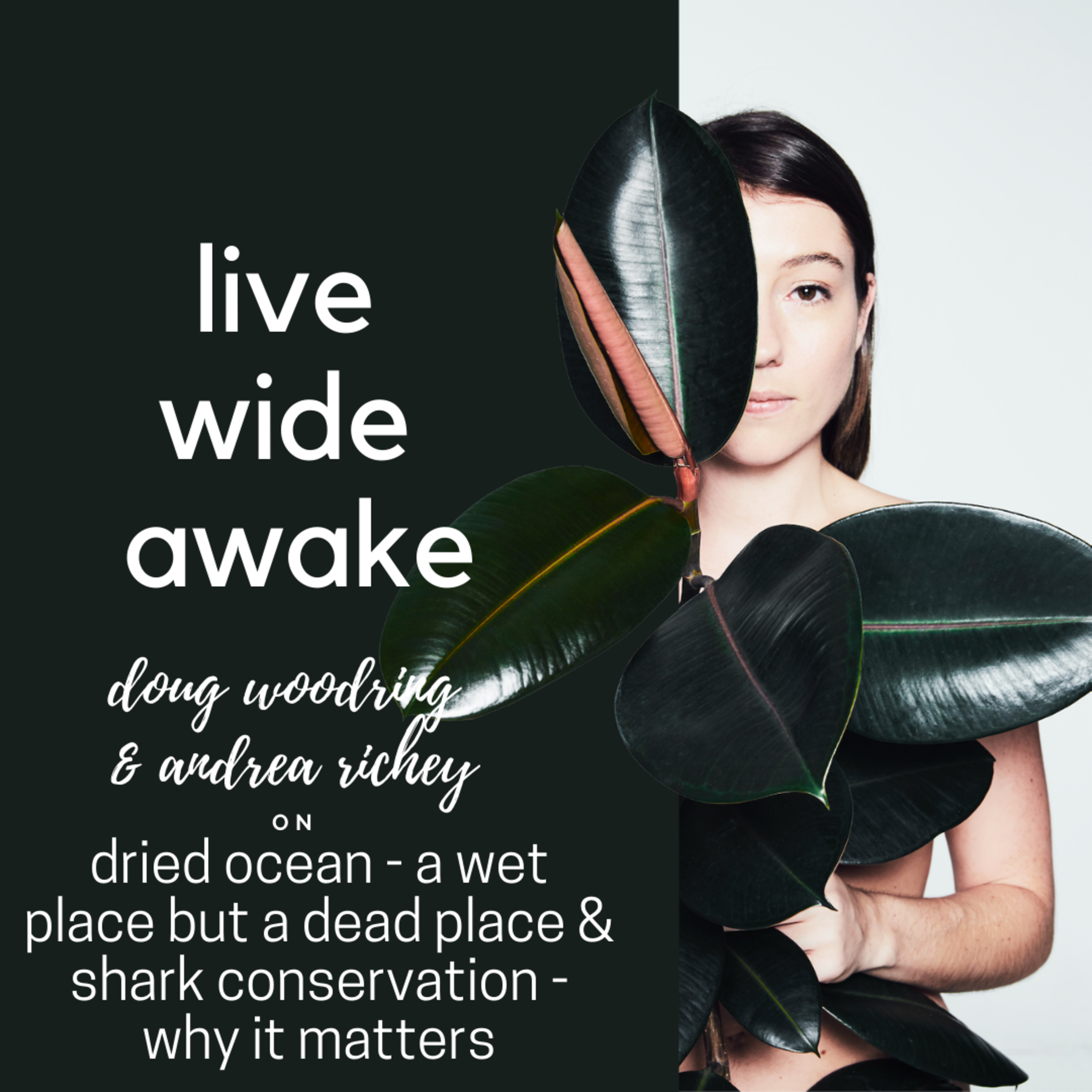 Live Wide Awake - Sustainability & Conscious Leadership