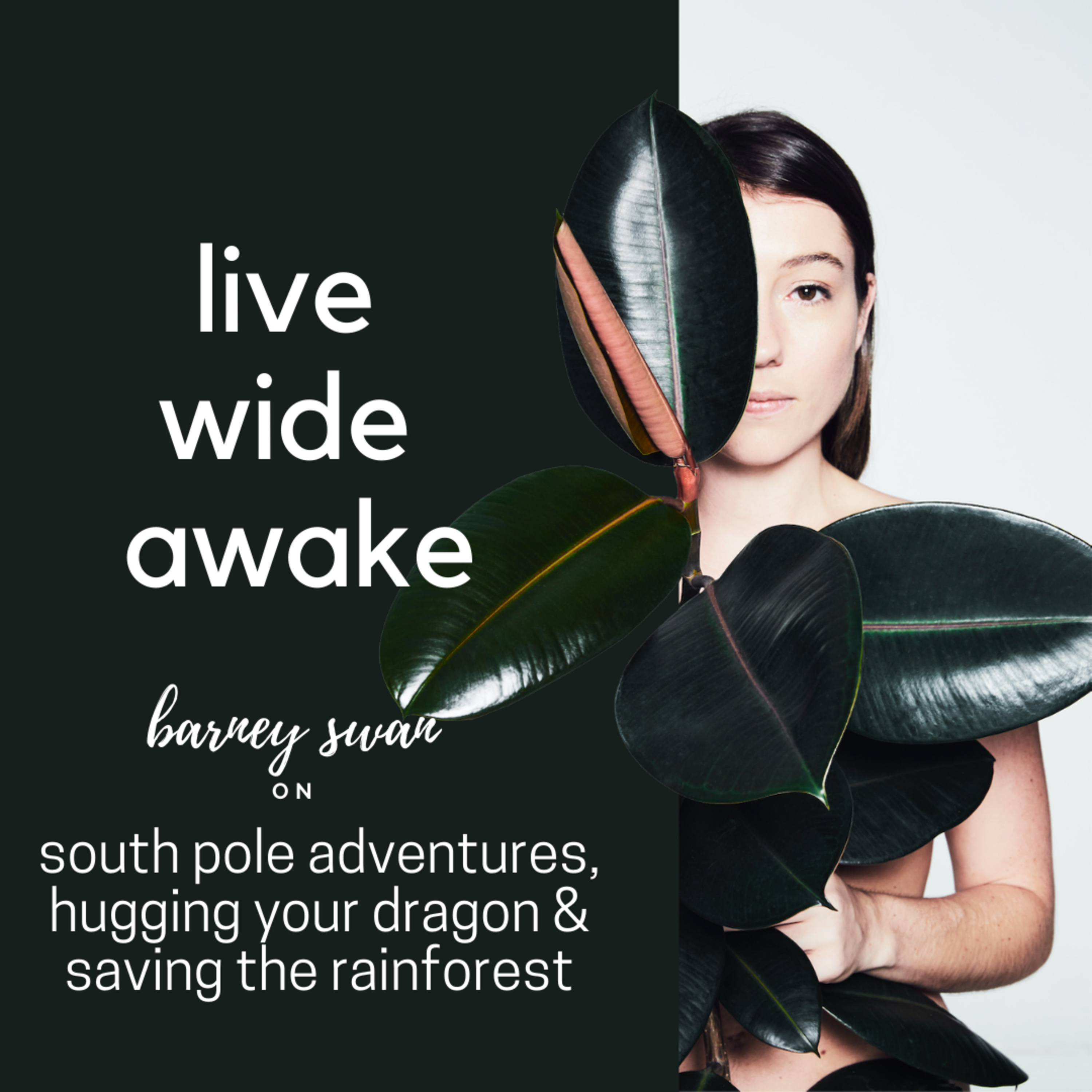 Live Wide Awake - Sustainability & Conscious Leadership