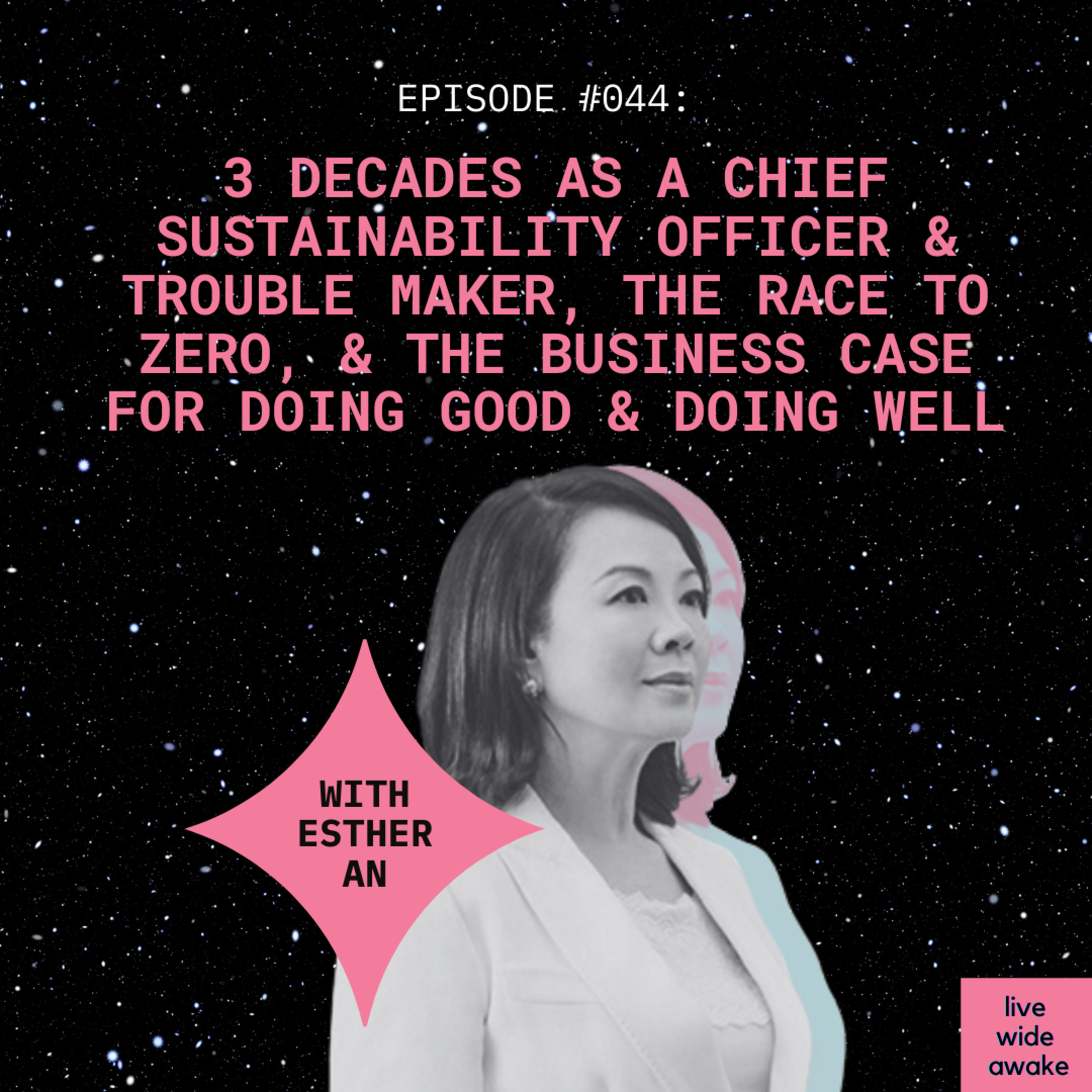 Live Wide Awake - Sustainability & Conscious Leadership