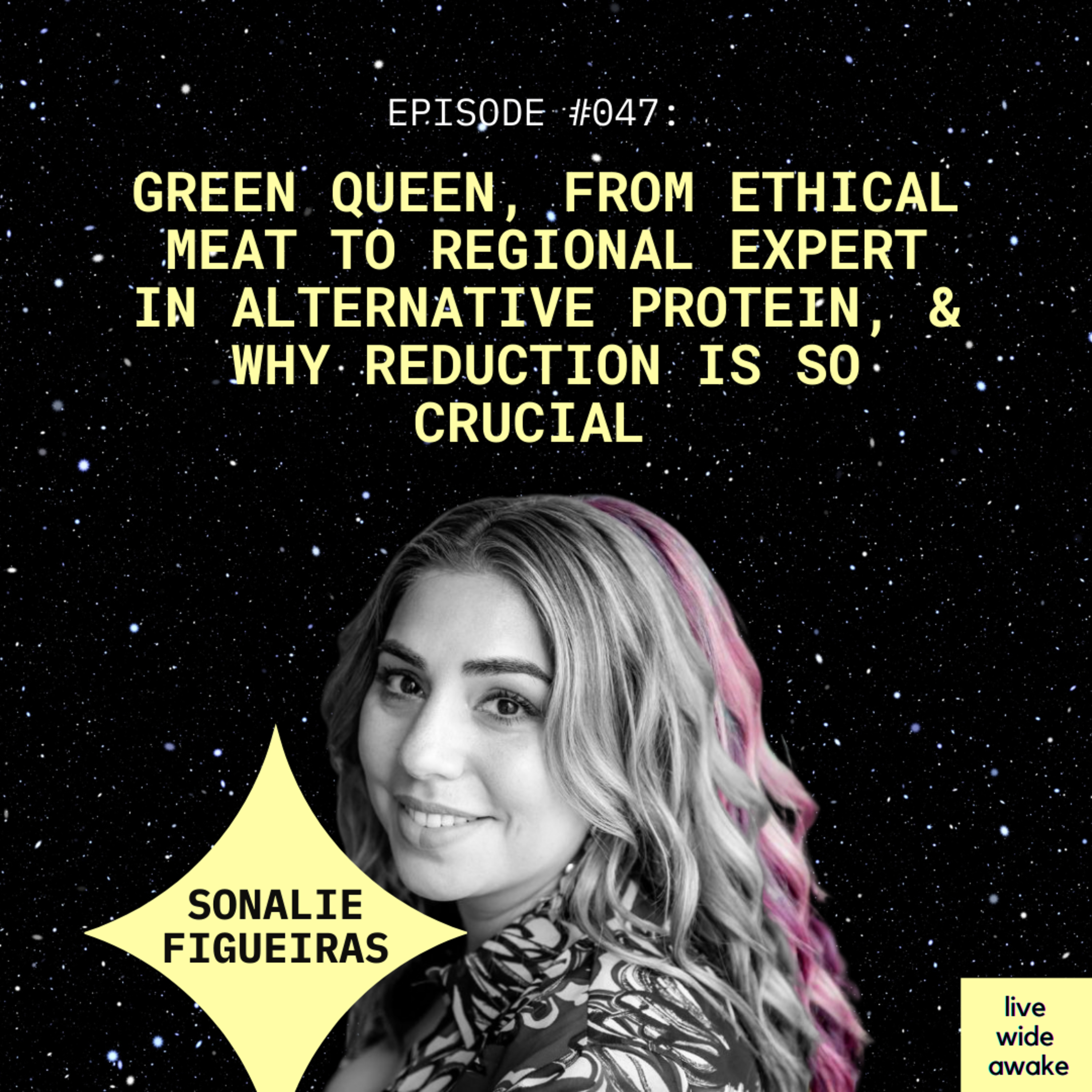 Live Wide Awake - Sustainability & Conscious Leadership