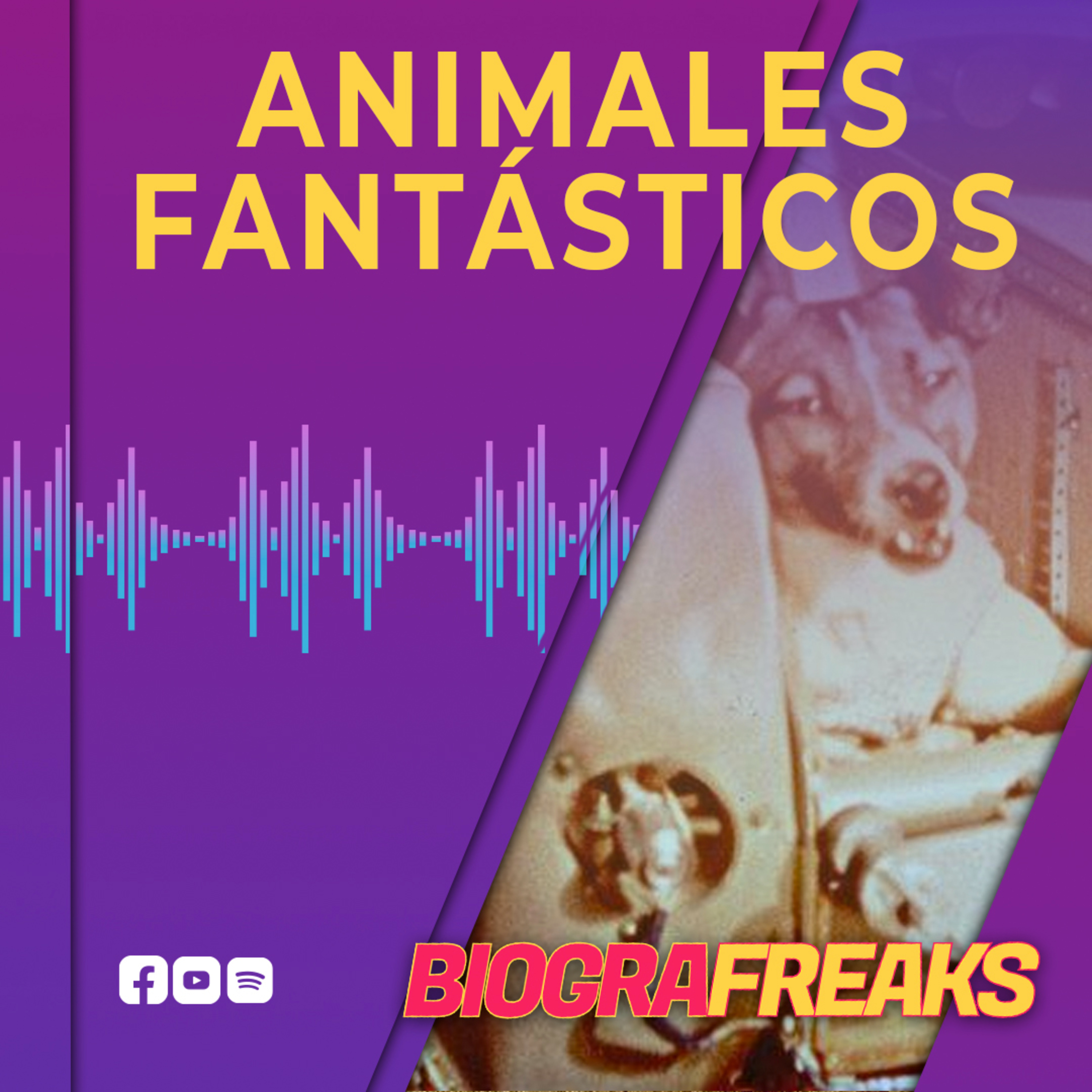 Biografreaks