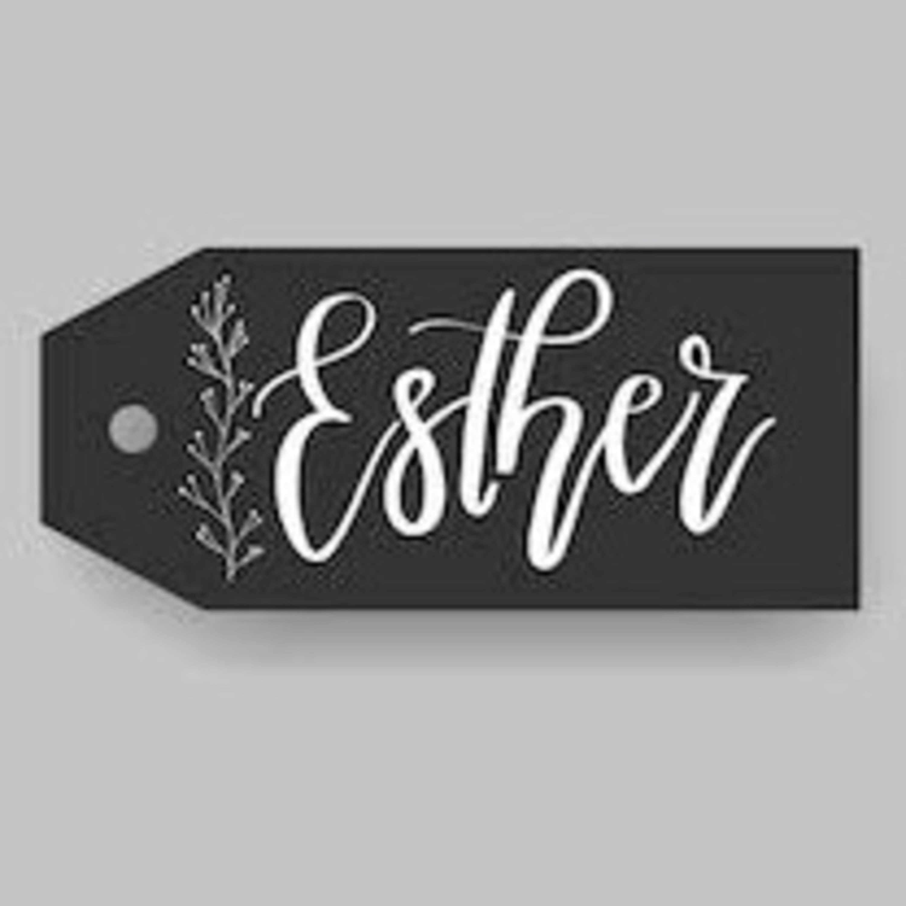 Lessons from the story of Esther - Family Sunday Service  episode artwork