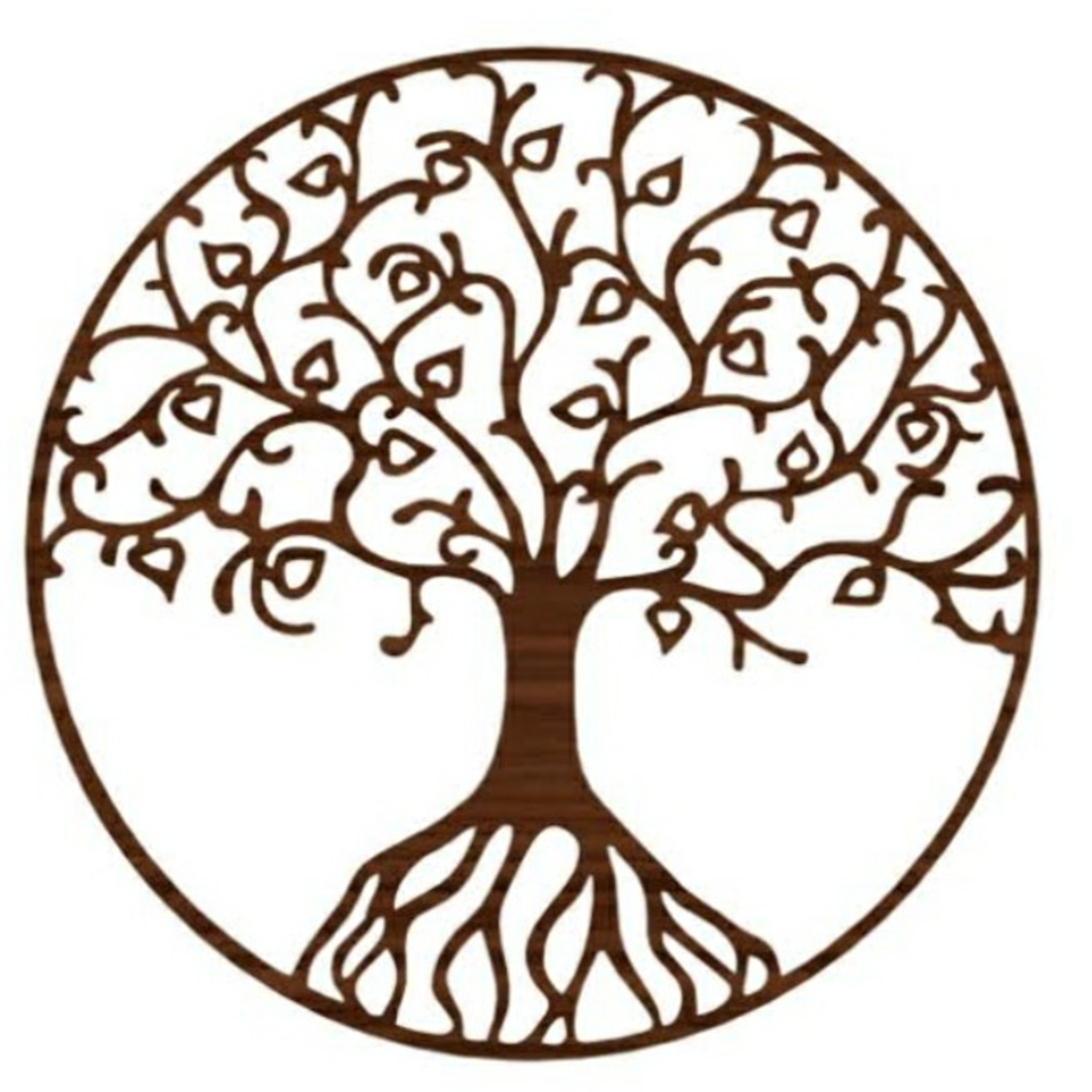 Filosofia no Café Flor de Lótus