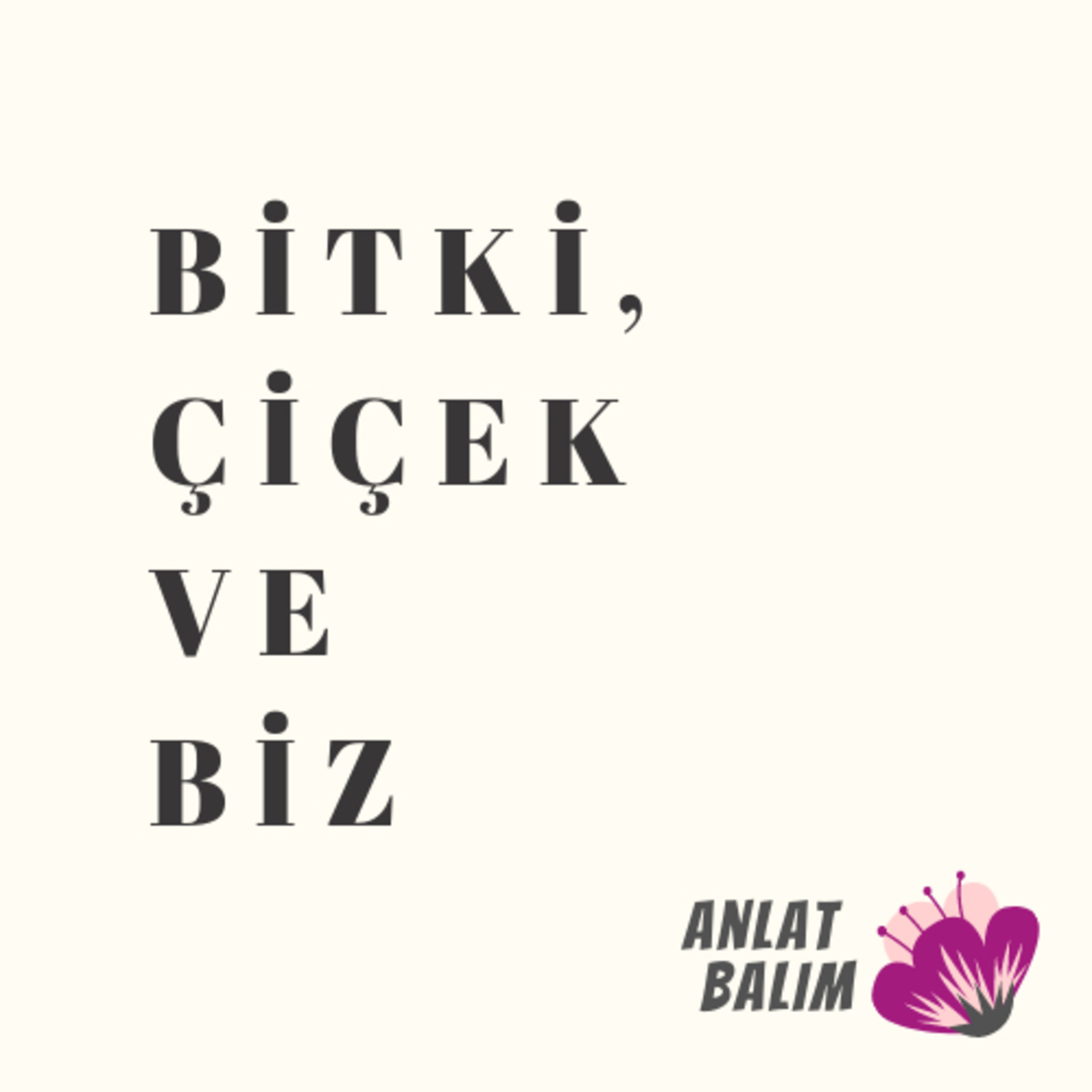 Bitki atölyesi episode artwork