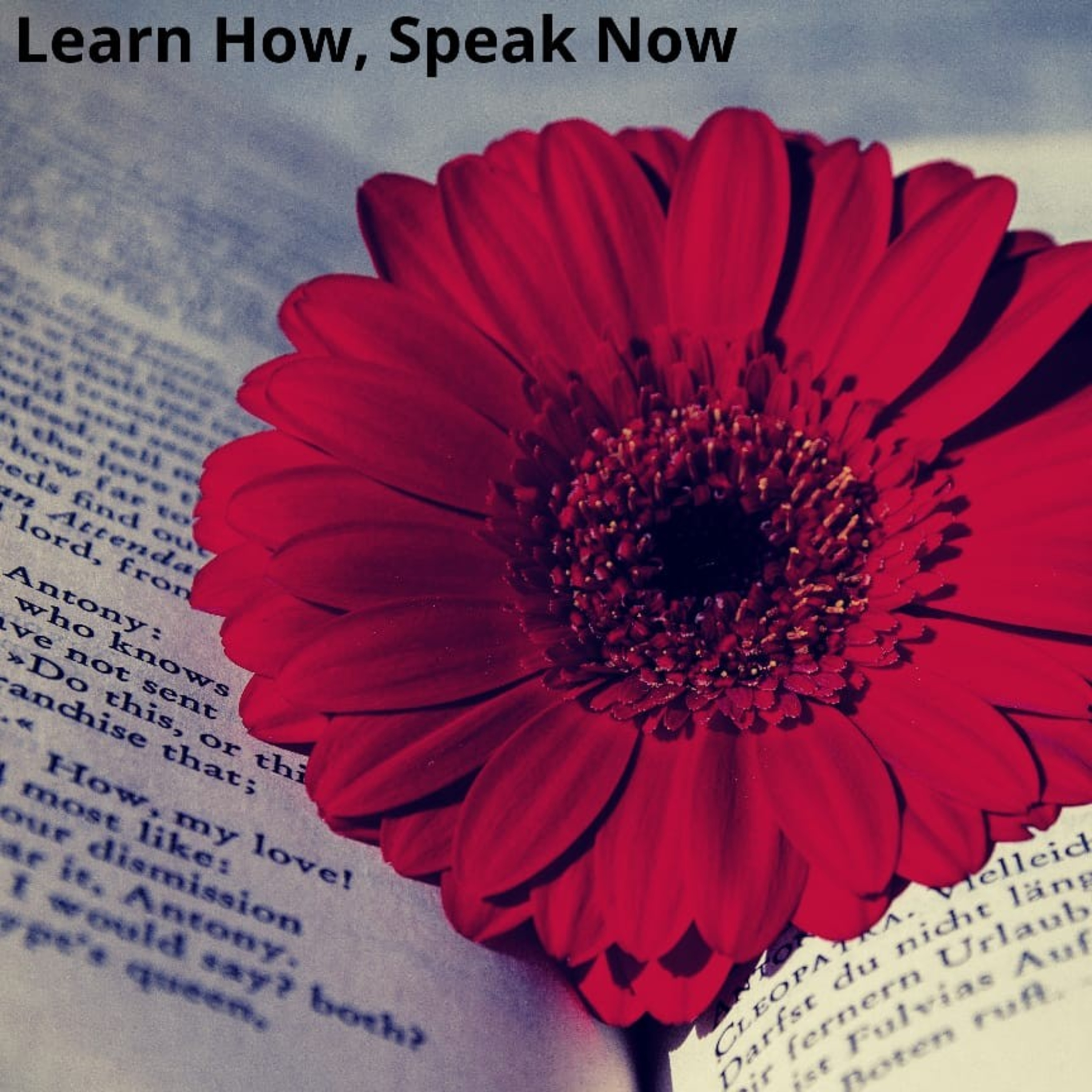 Looking for English- Learn How, Speak Now- Week 1