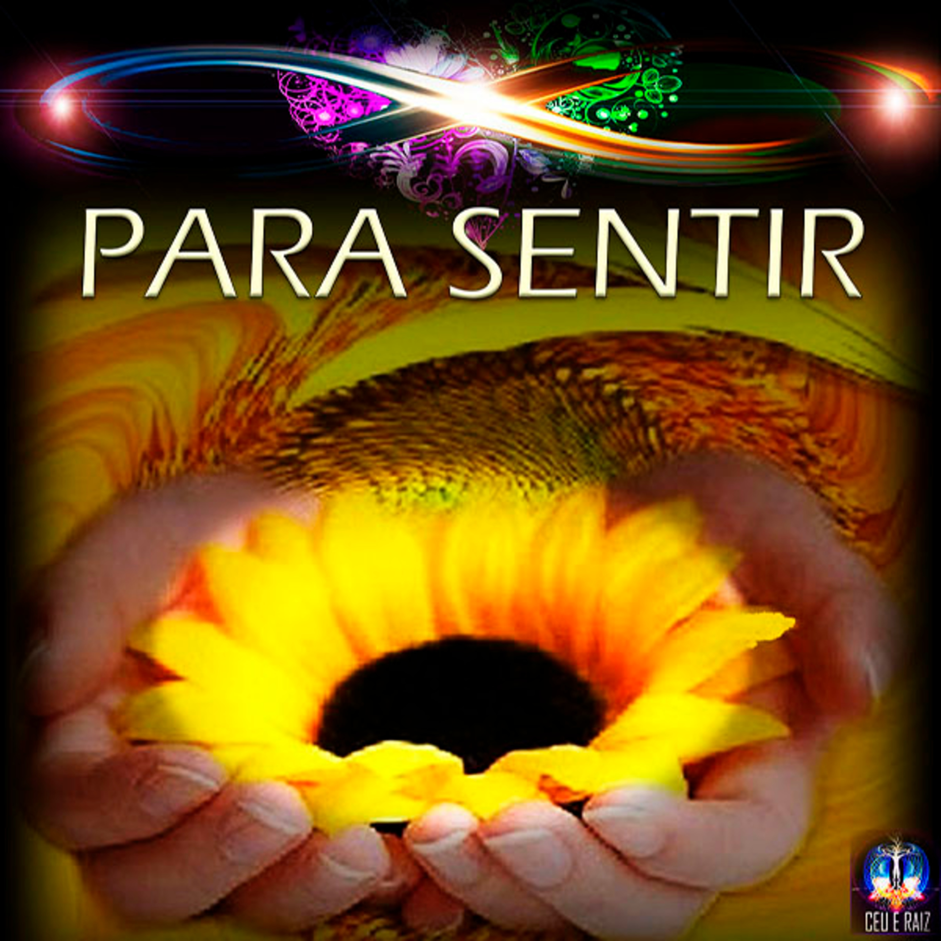 PS250 - no trajeto do reencontro  episode artwork