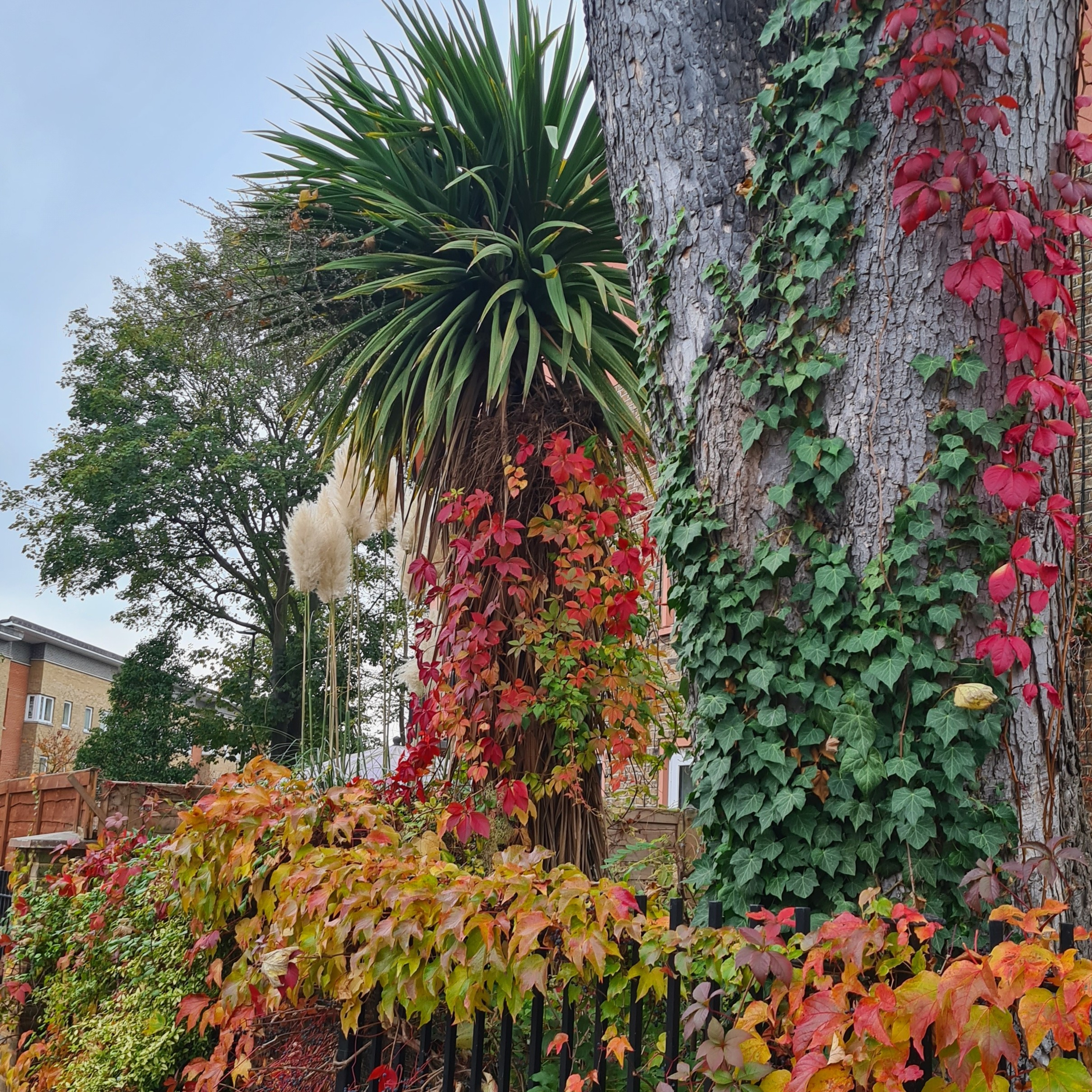 Tracey J Boothe Podcast What\'s Your Story Show?