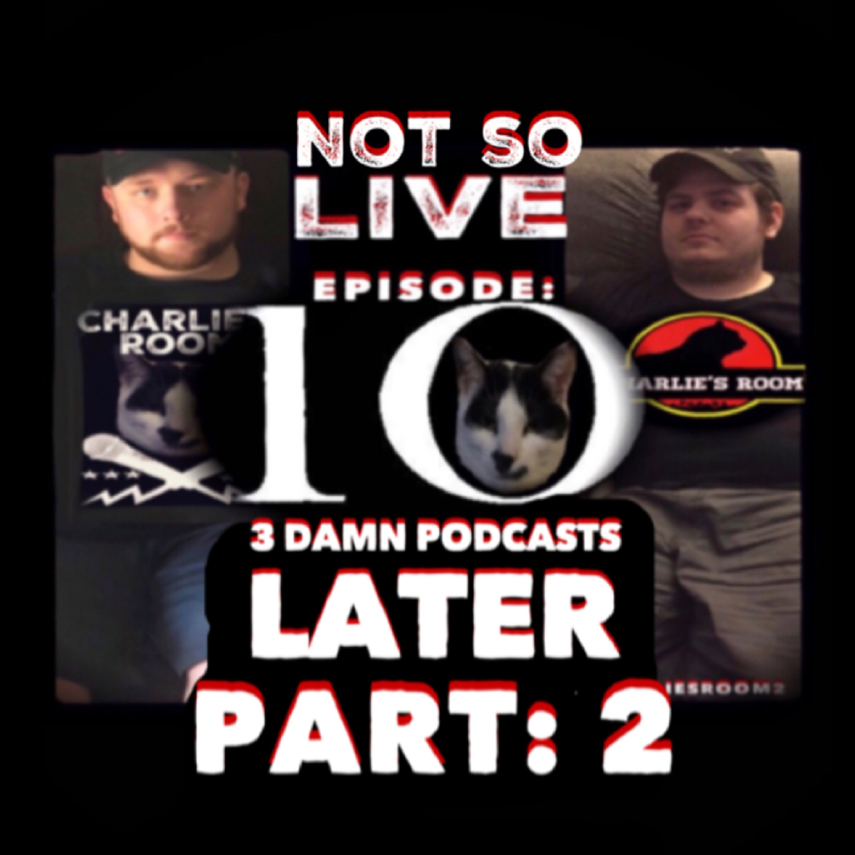 Episode: 10 part: 2 episode artwork