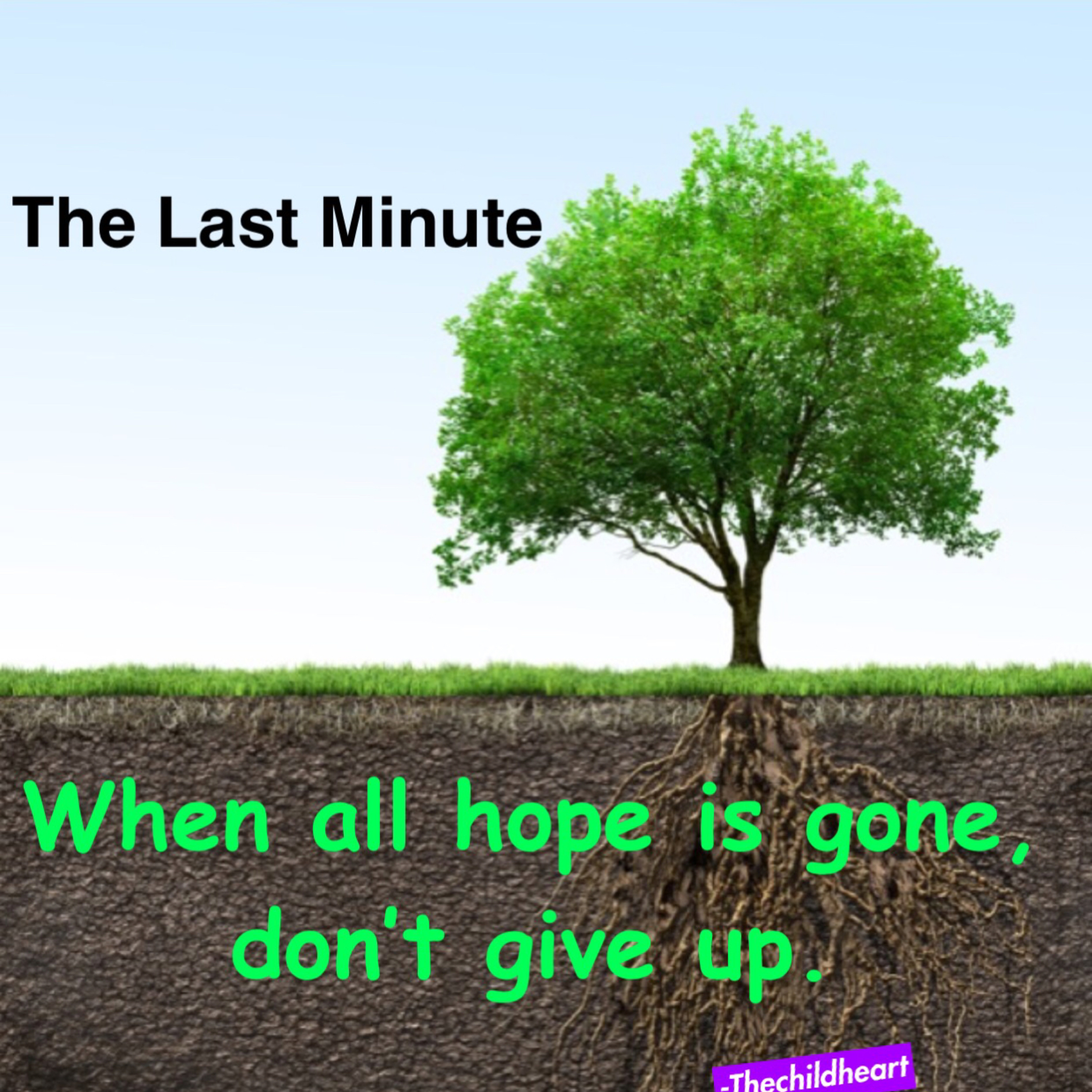 The Last Minute  episode artwork
