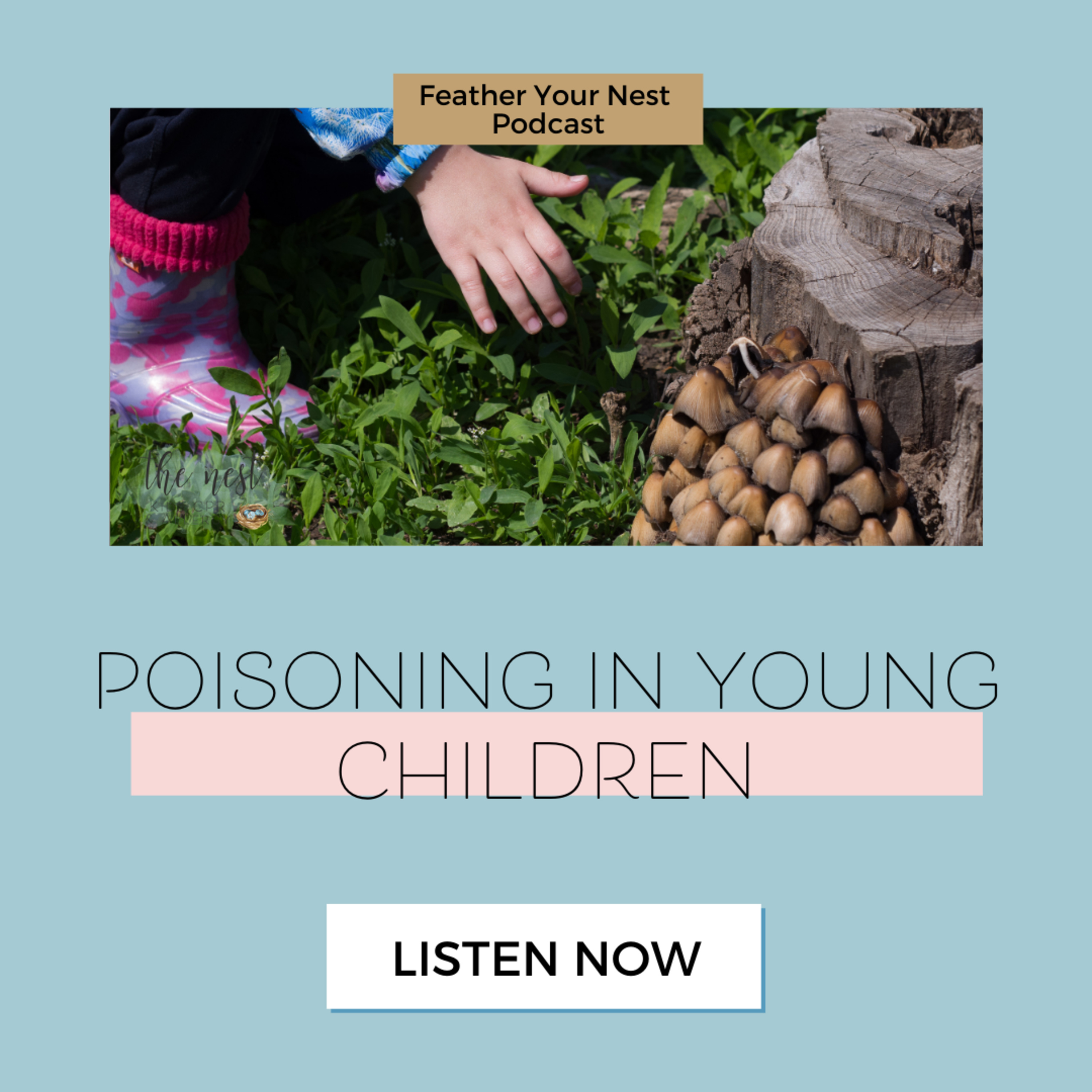 Feather Your Nest with Kids Health