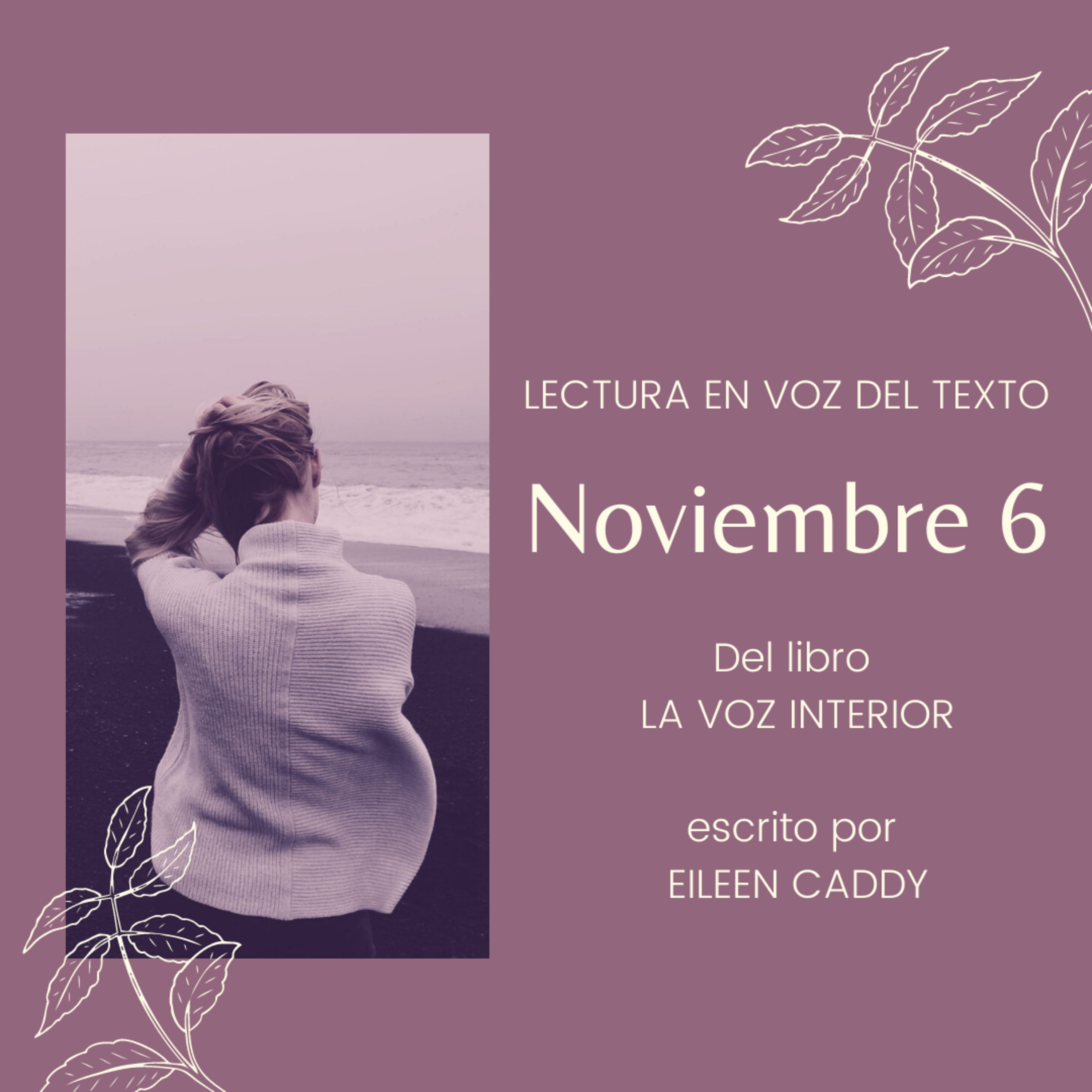 Noviembre 6