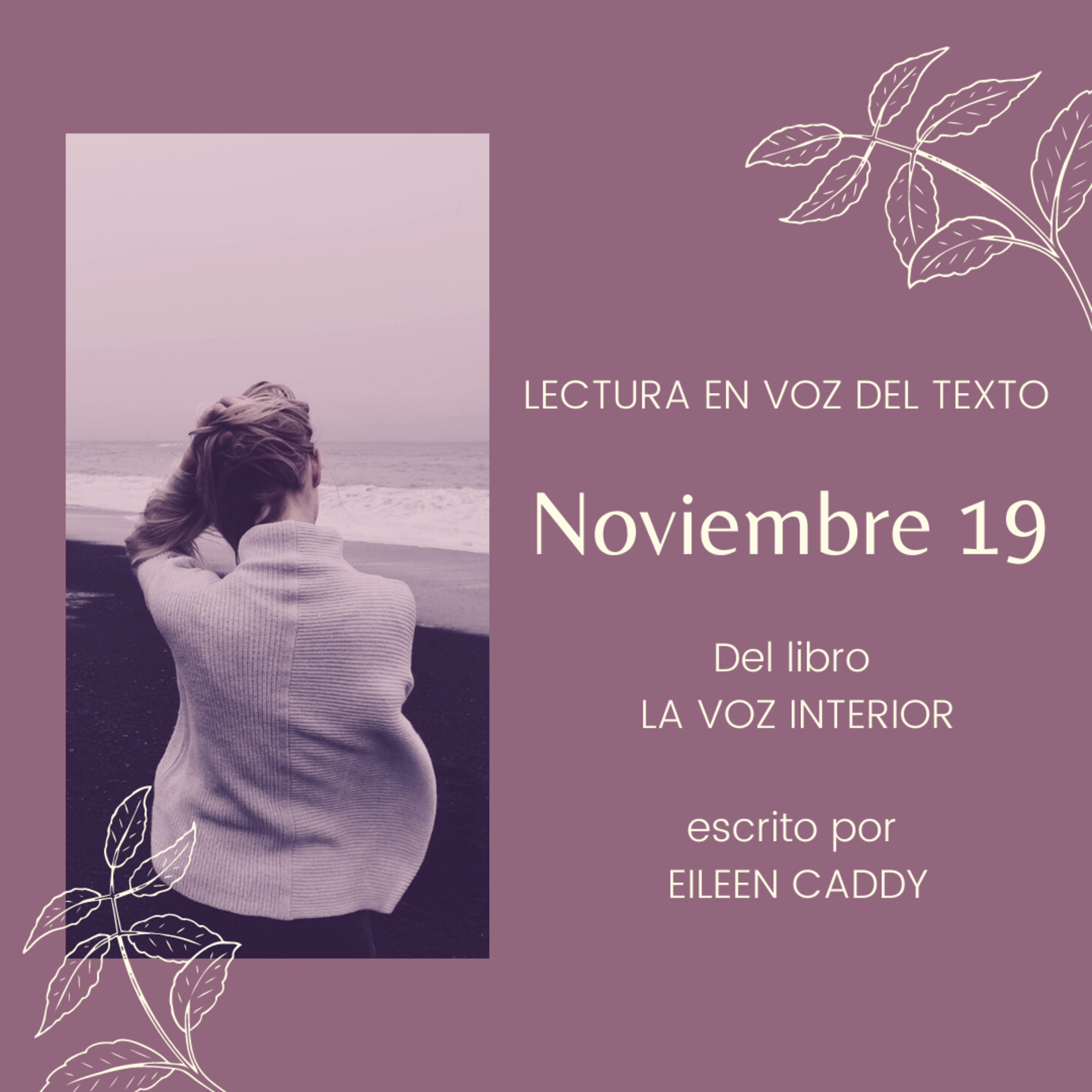 Noviembre 19