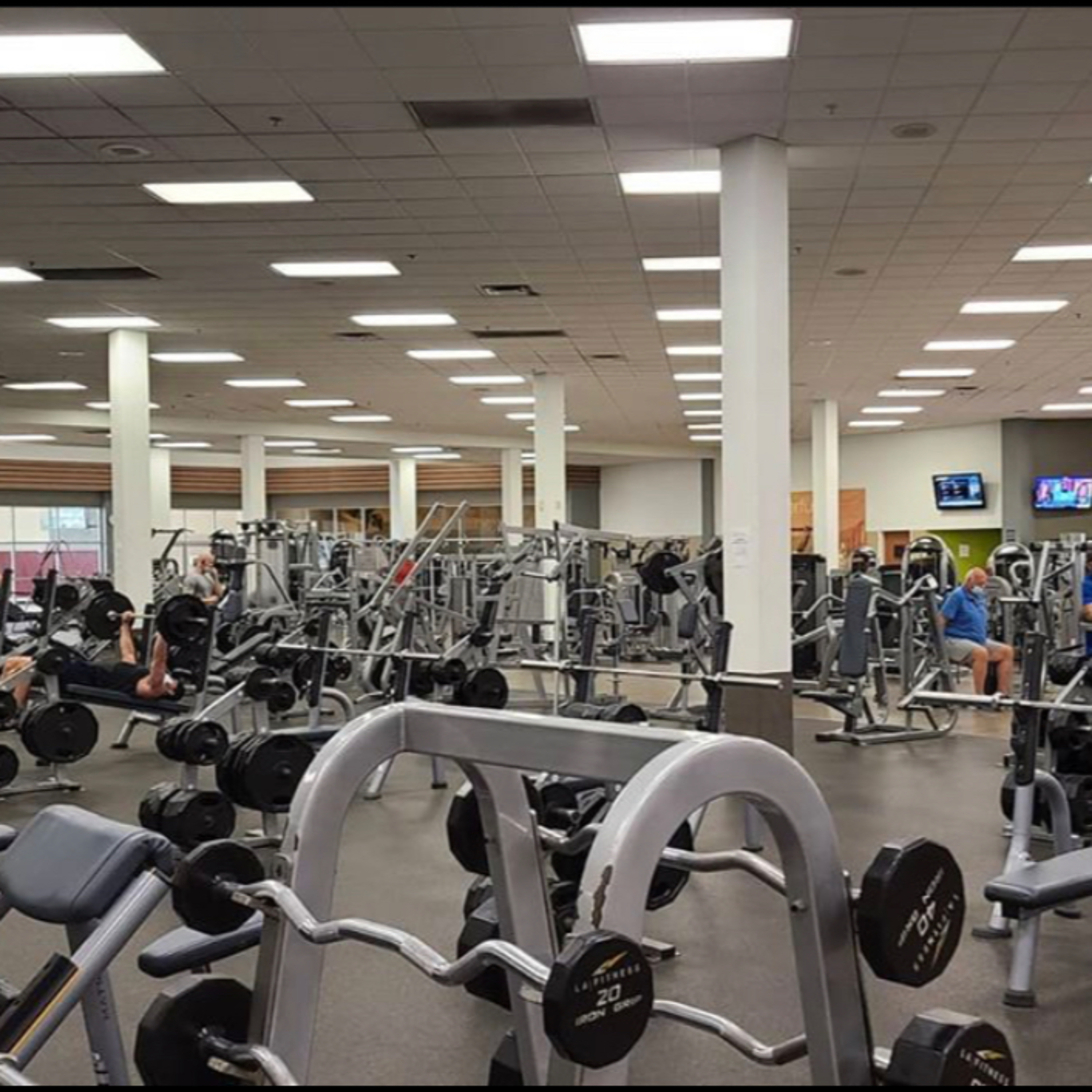 SWOLESUM Content