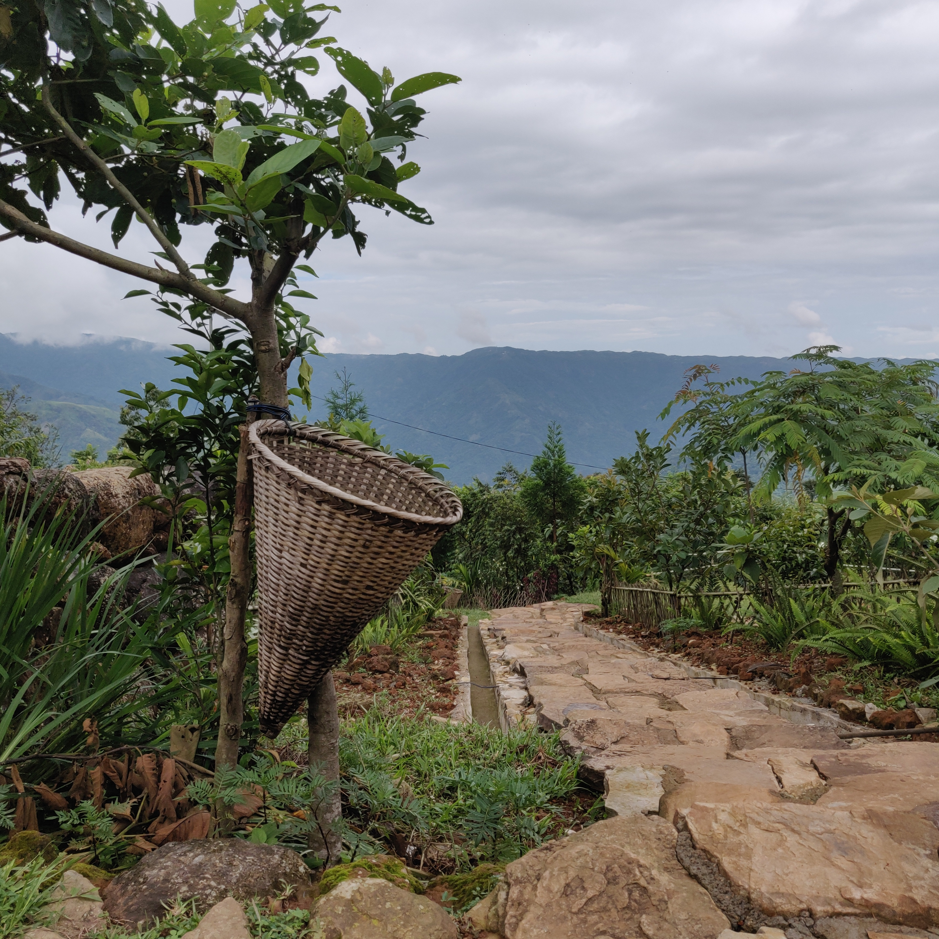 Life In Kongthong Meghalaya | An Indian Village Where Every Person’s Name Is A Song episode artwork