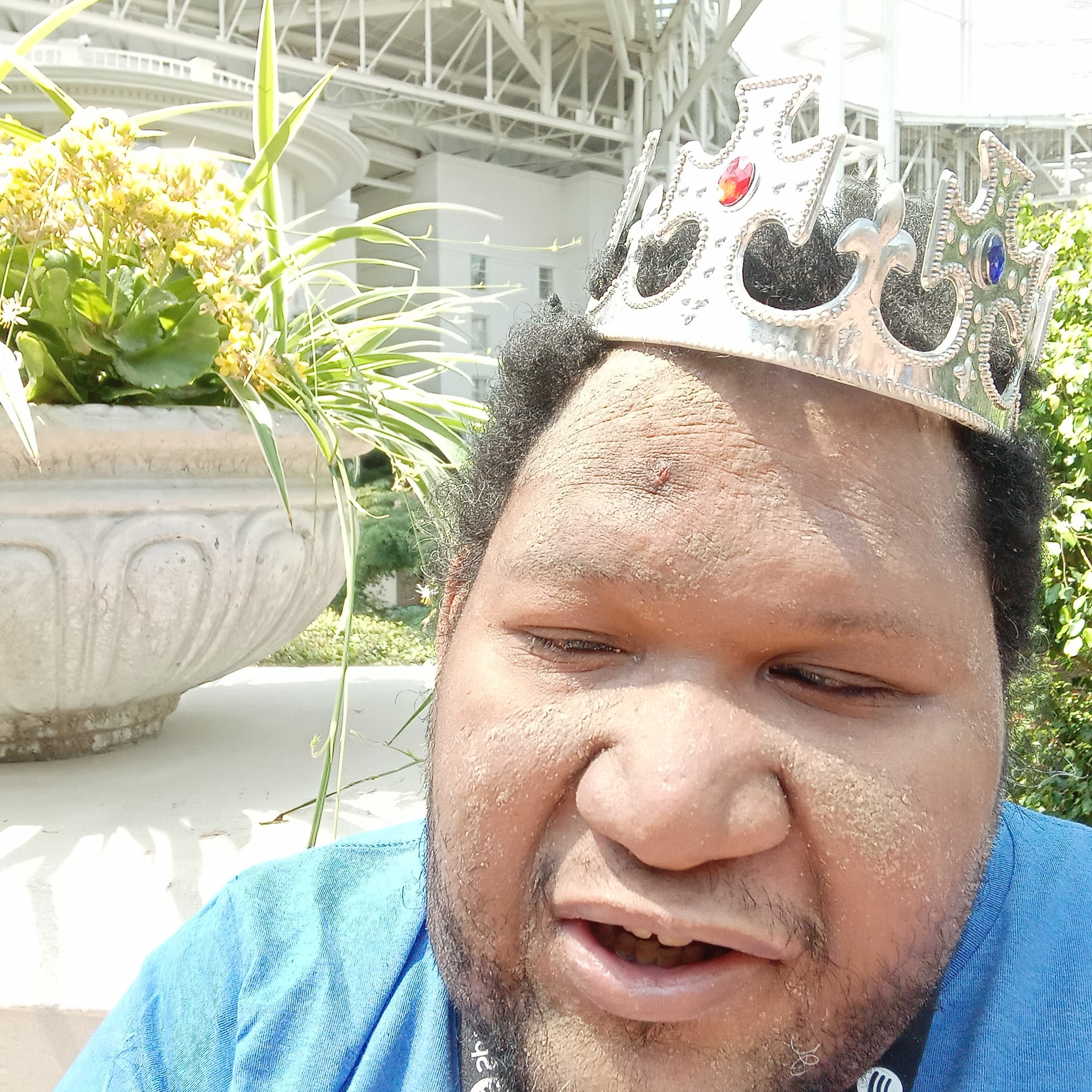 The big d z one