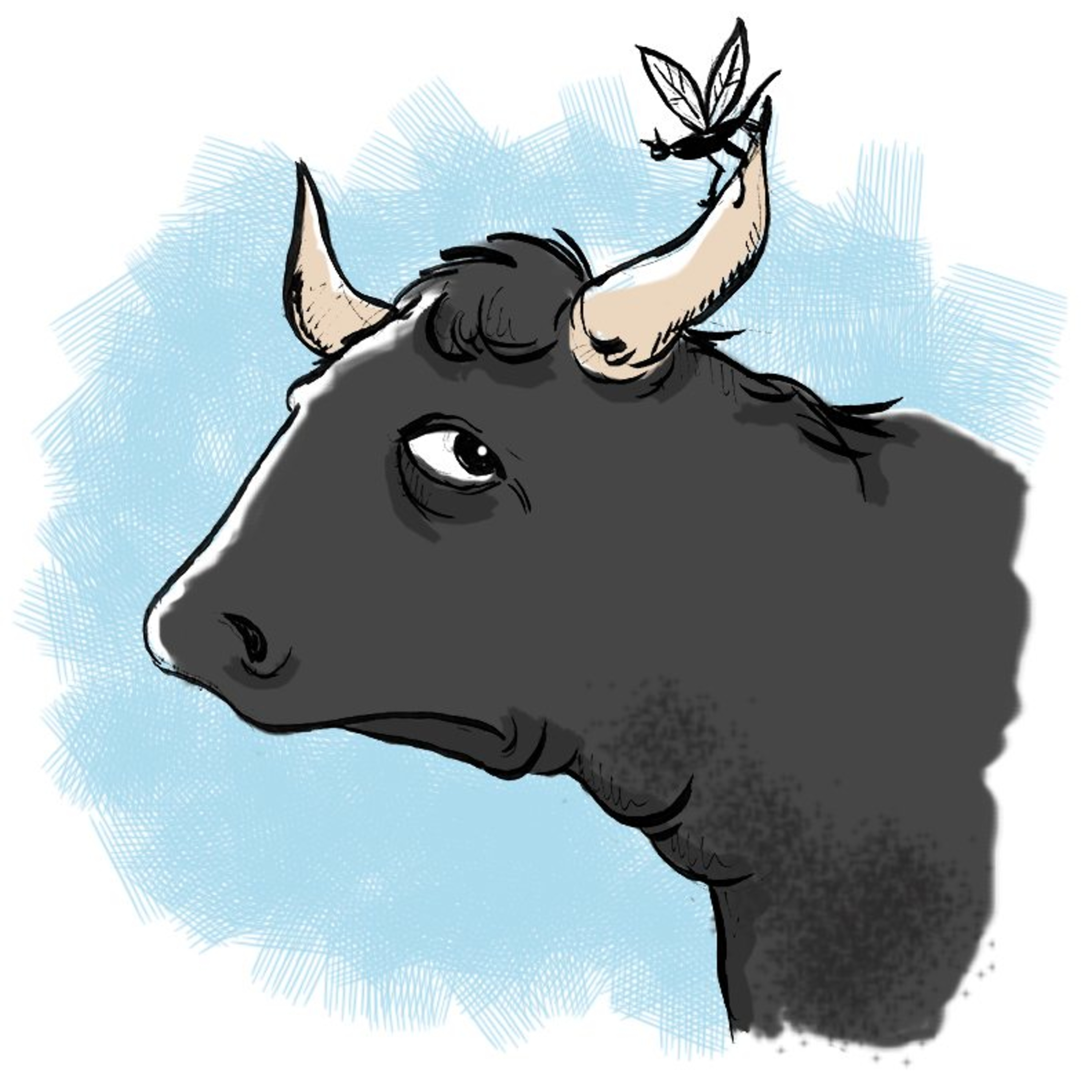 The Gnat and the Bull episode artwork