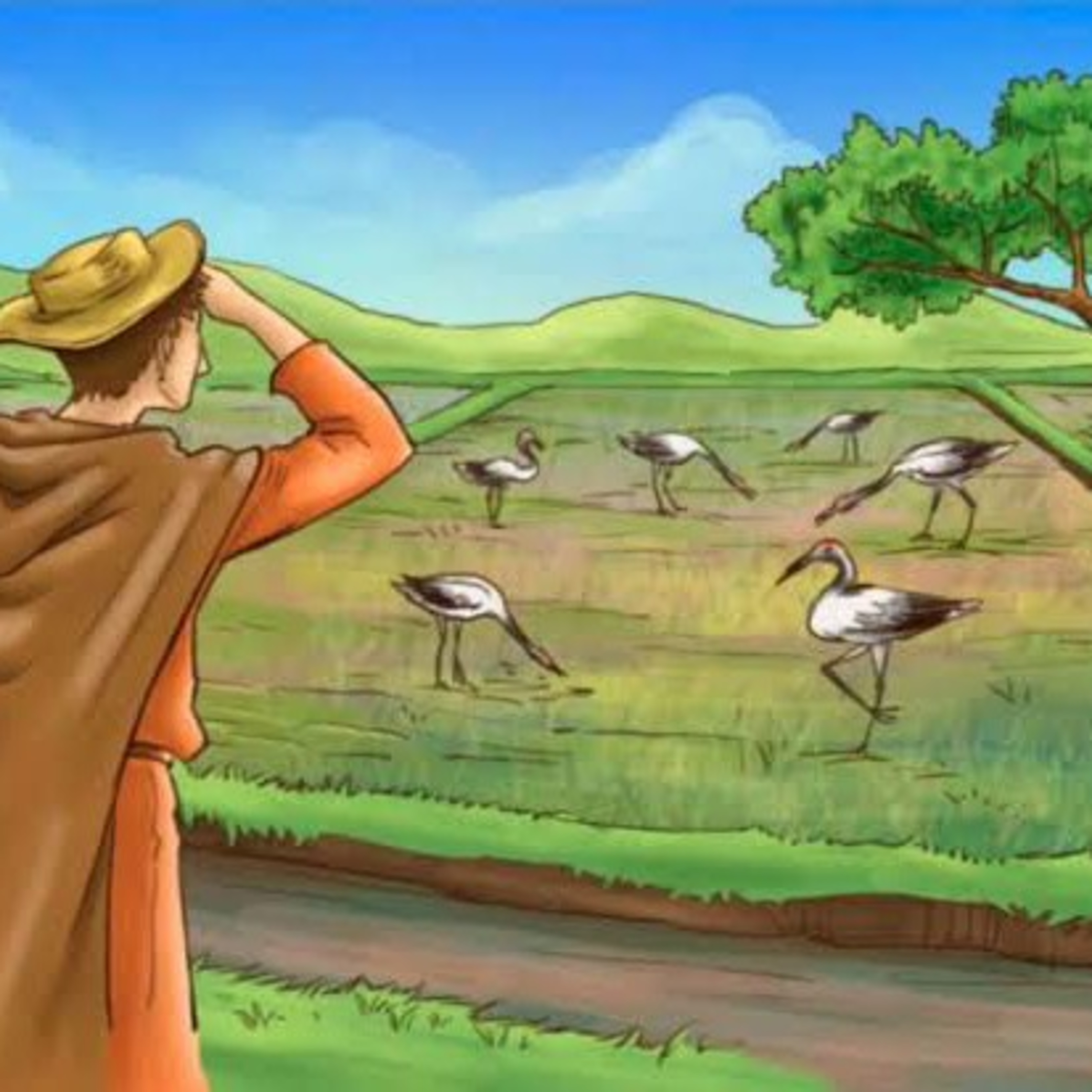The Farmer and the Cranes episode artwork