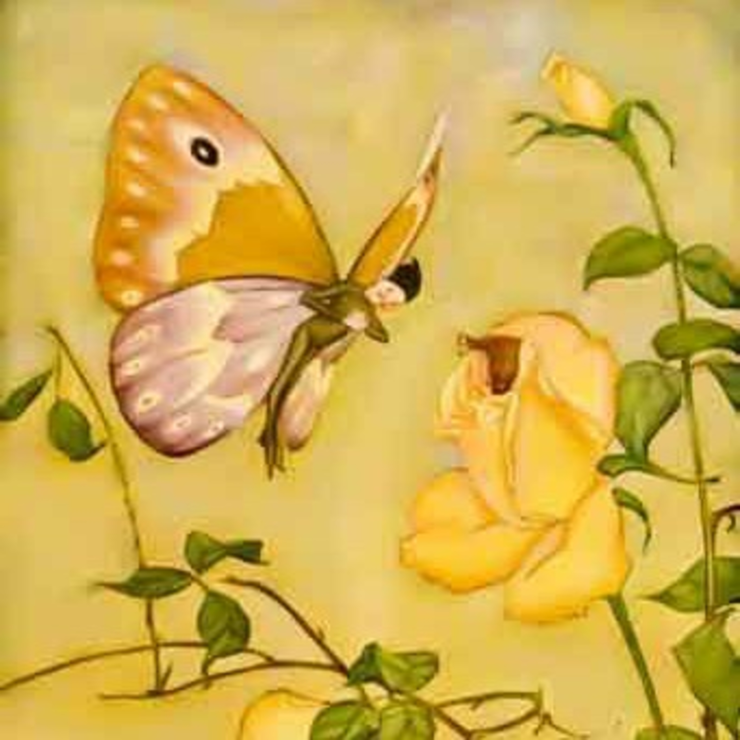 The Rose and the Butterfly episode artwork