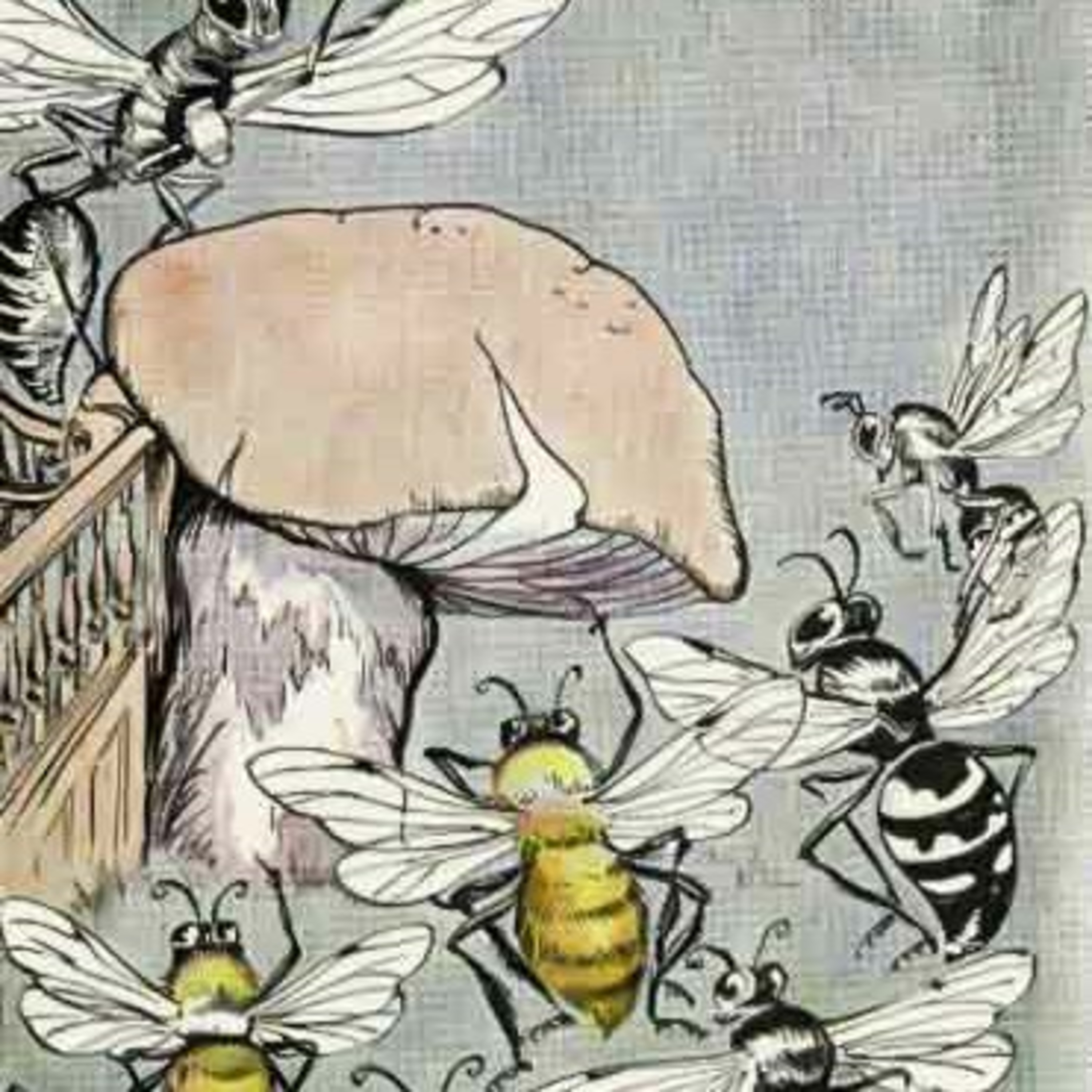 The Bees, the Drones and the Wasps episode artwork