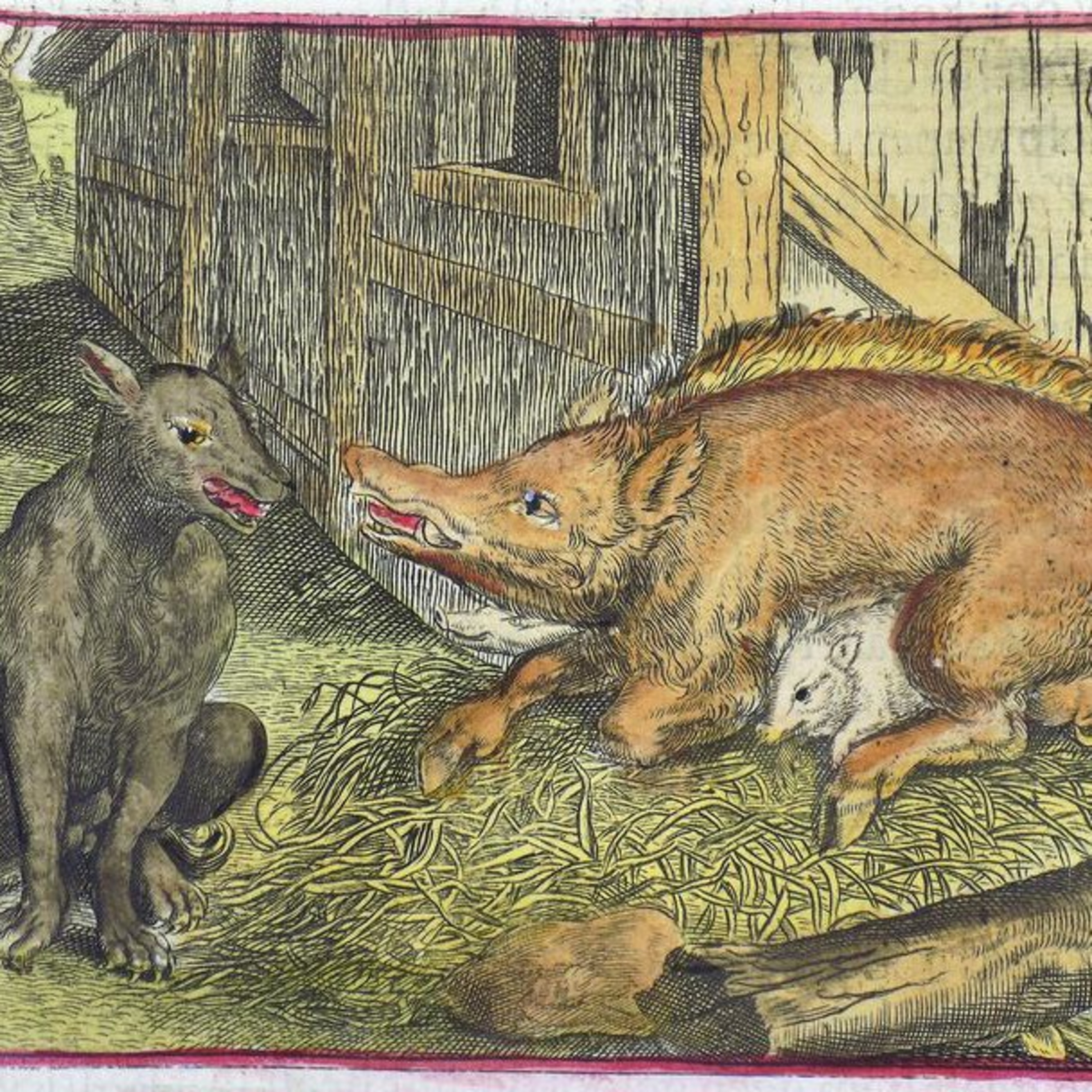 The Wolf and the Sow episode artwork