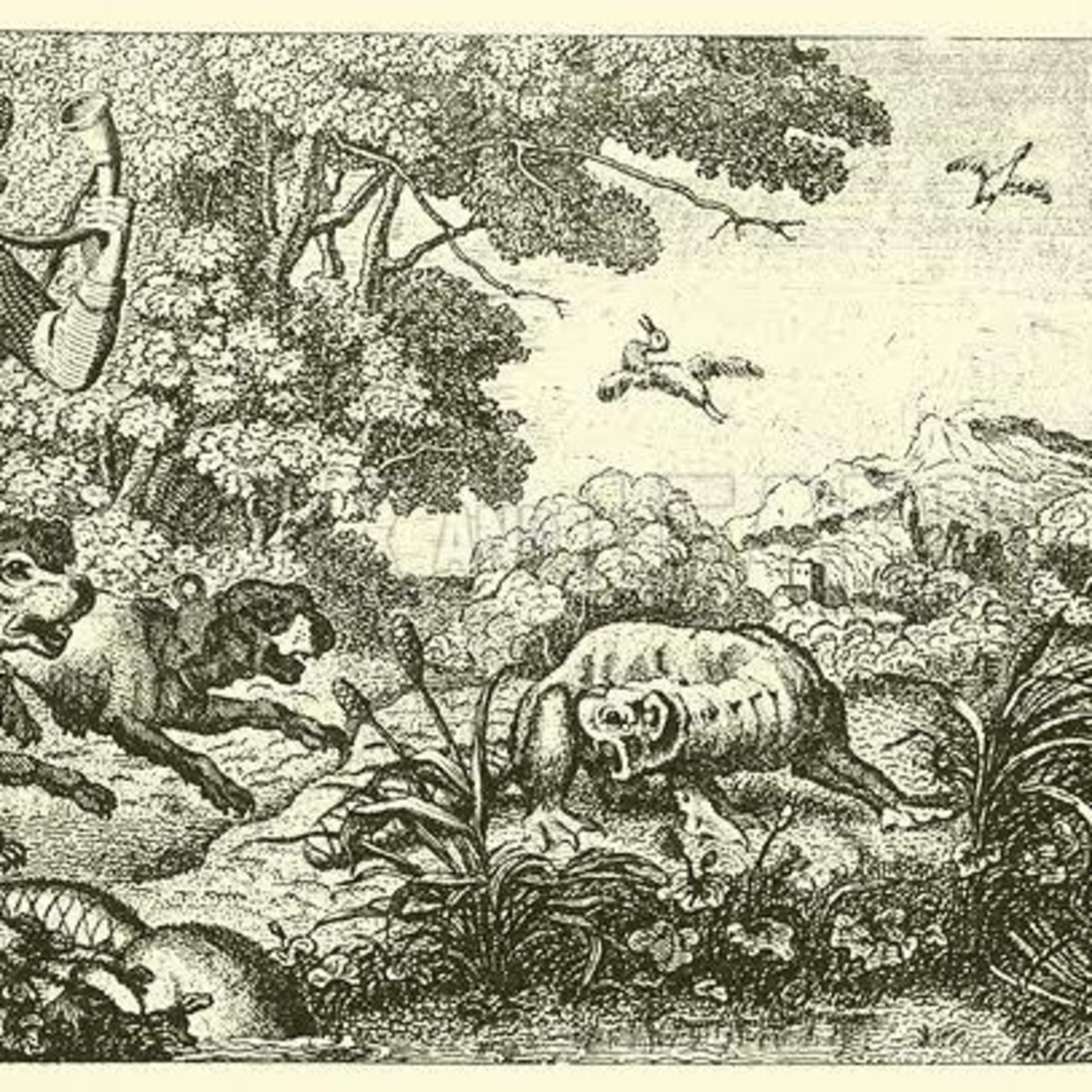 The Hunted Beaver episode artwork