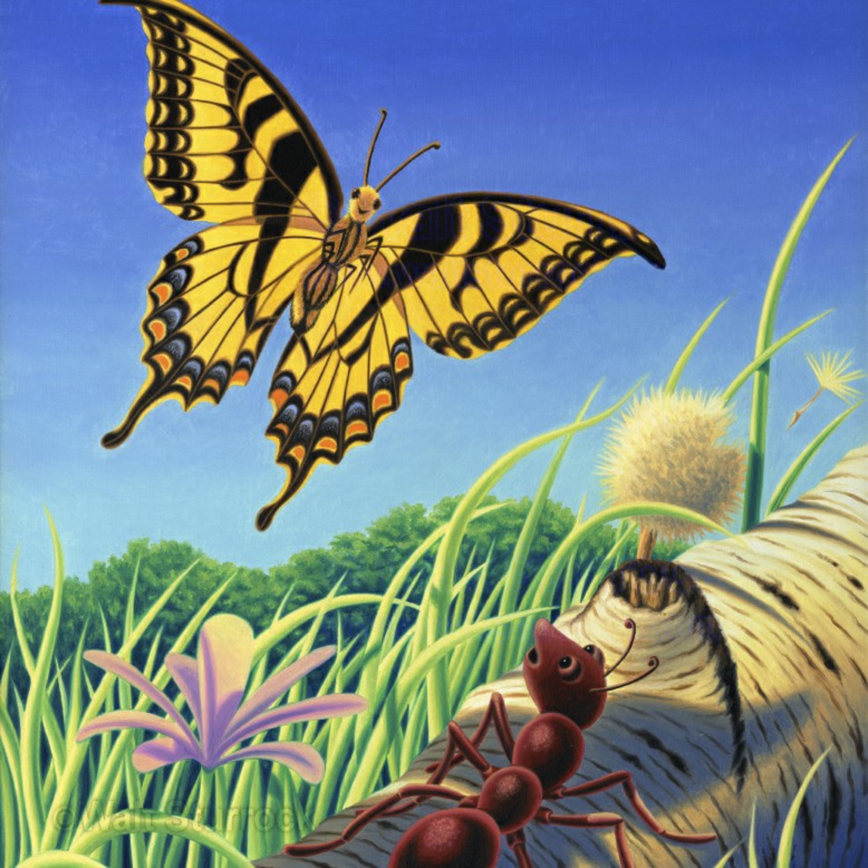The Ant and the Chrysalis episode artwork