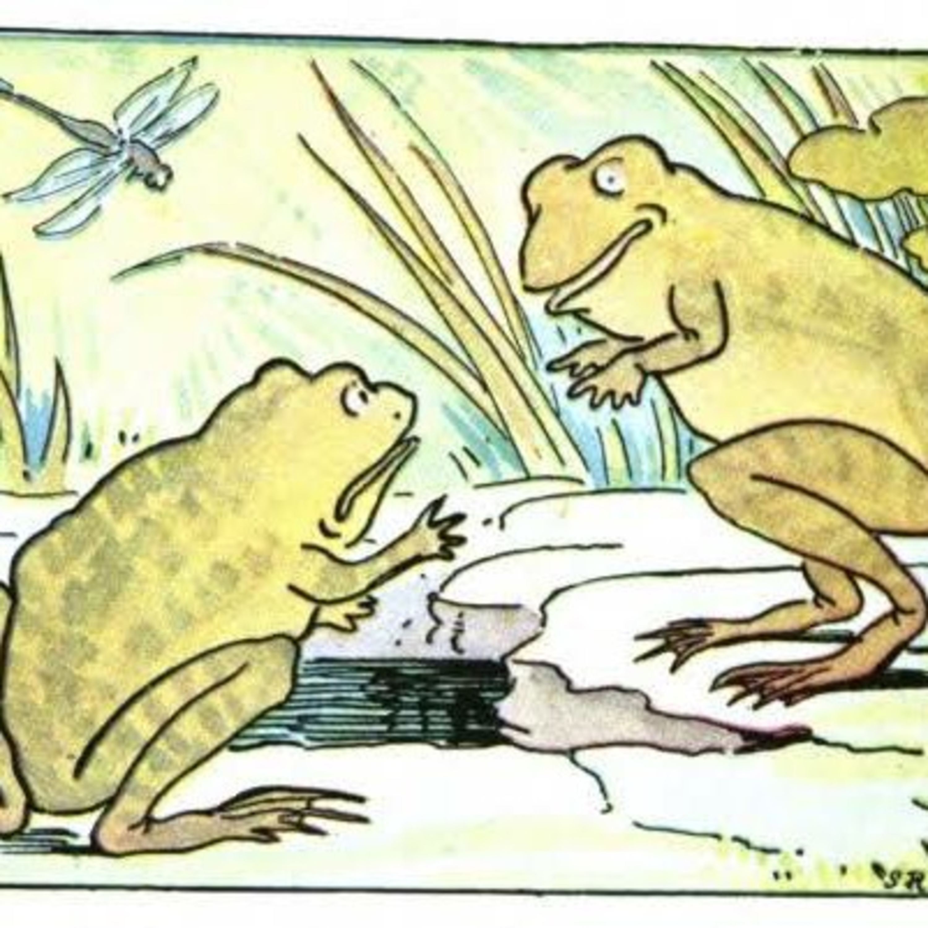 The Two Frogs episode artwork