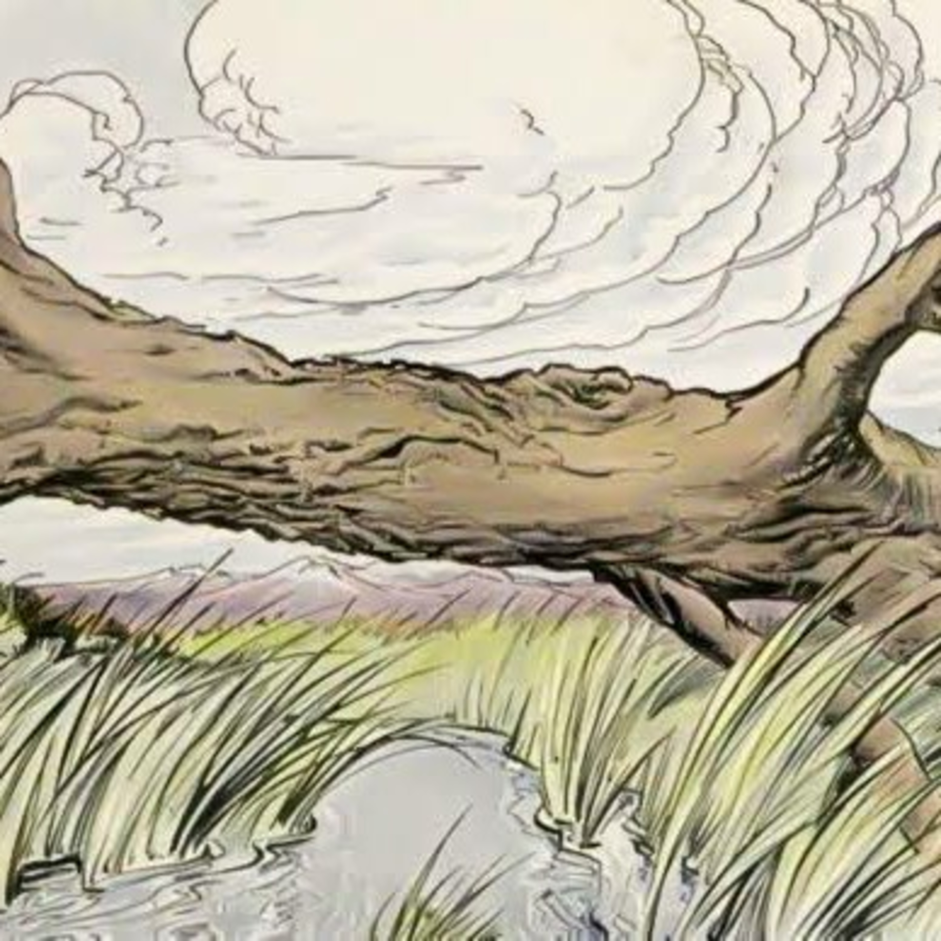 An Old Tree Transplanted episode artwork