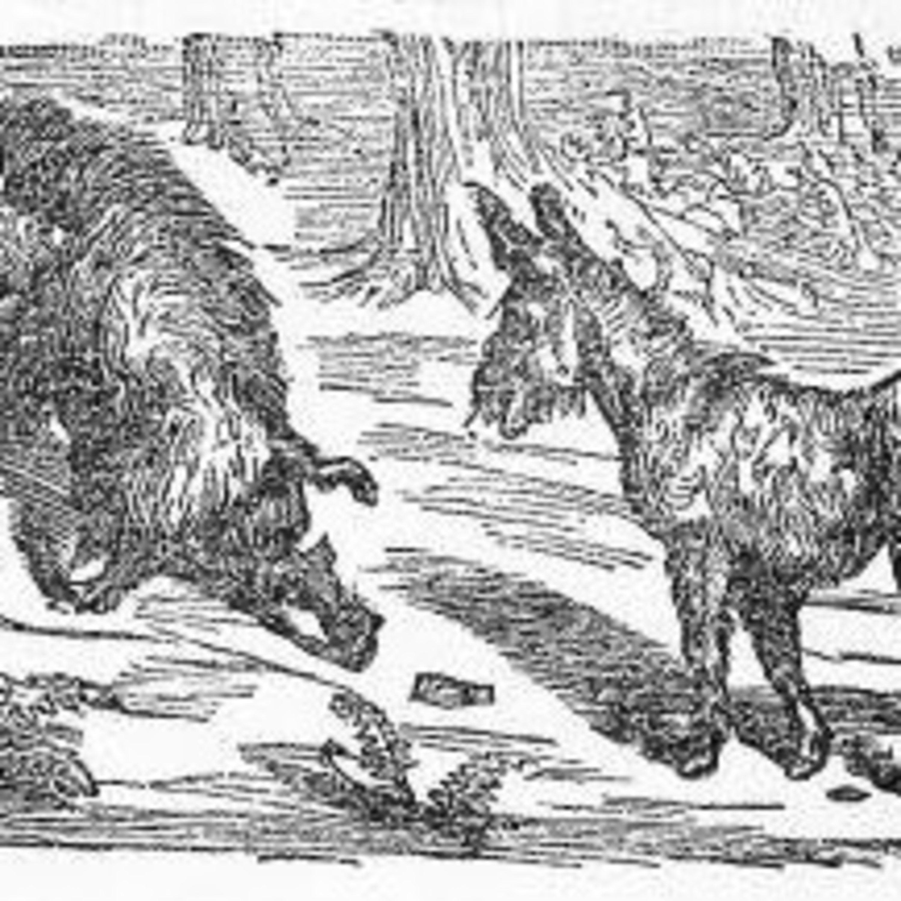 A Boar Challenges an Ass episode artwork