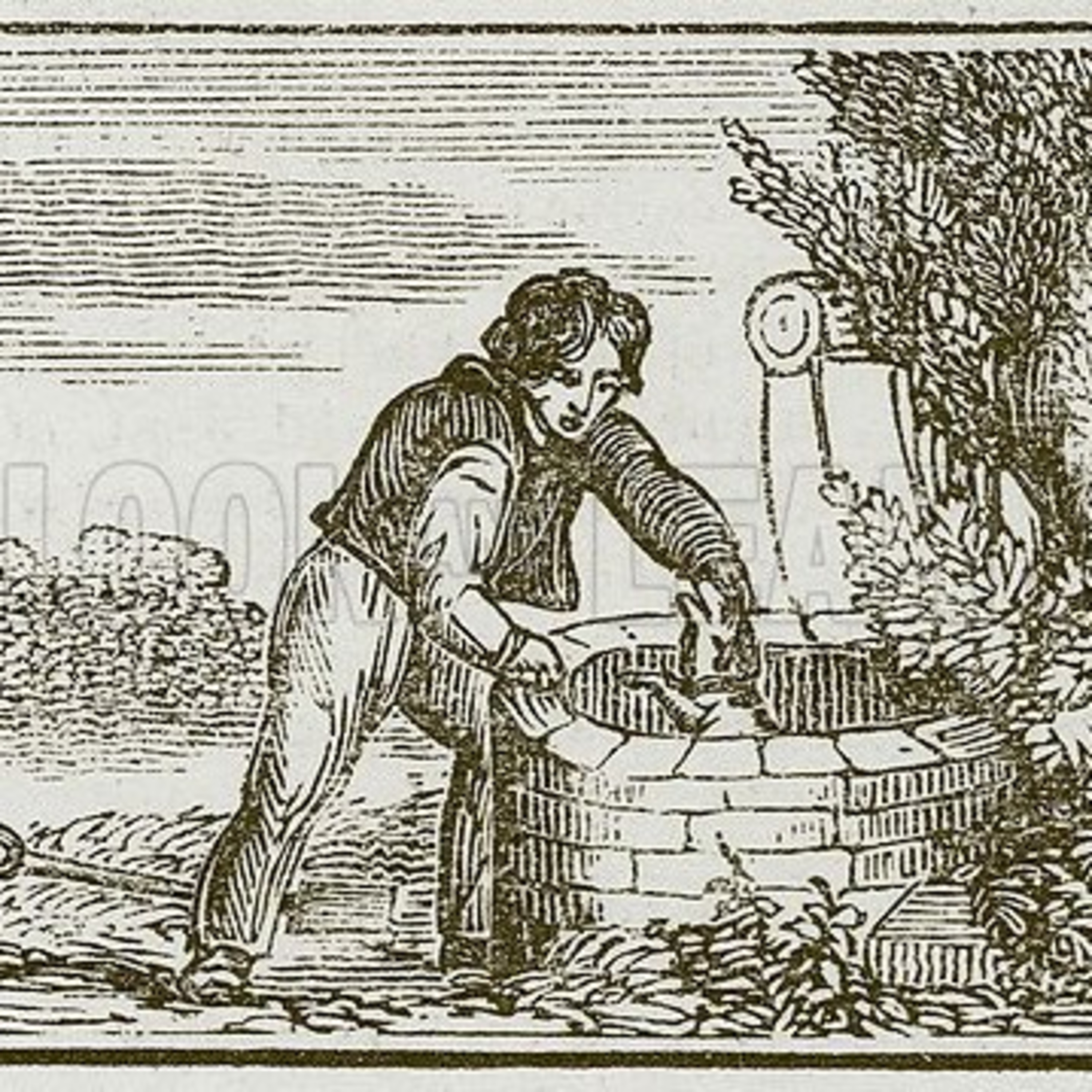 The Gardener and his Dog episode artwork
