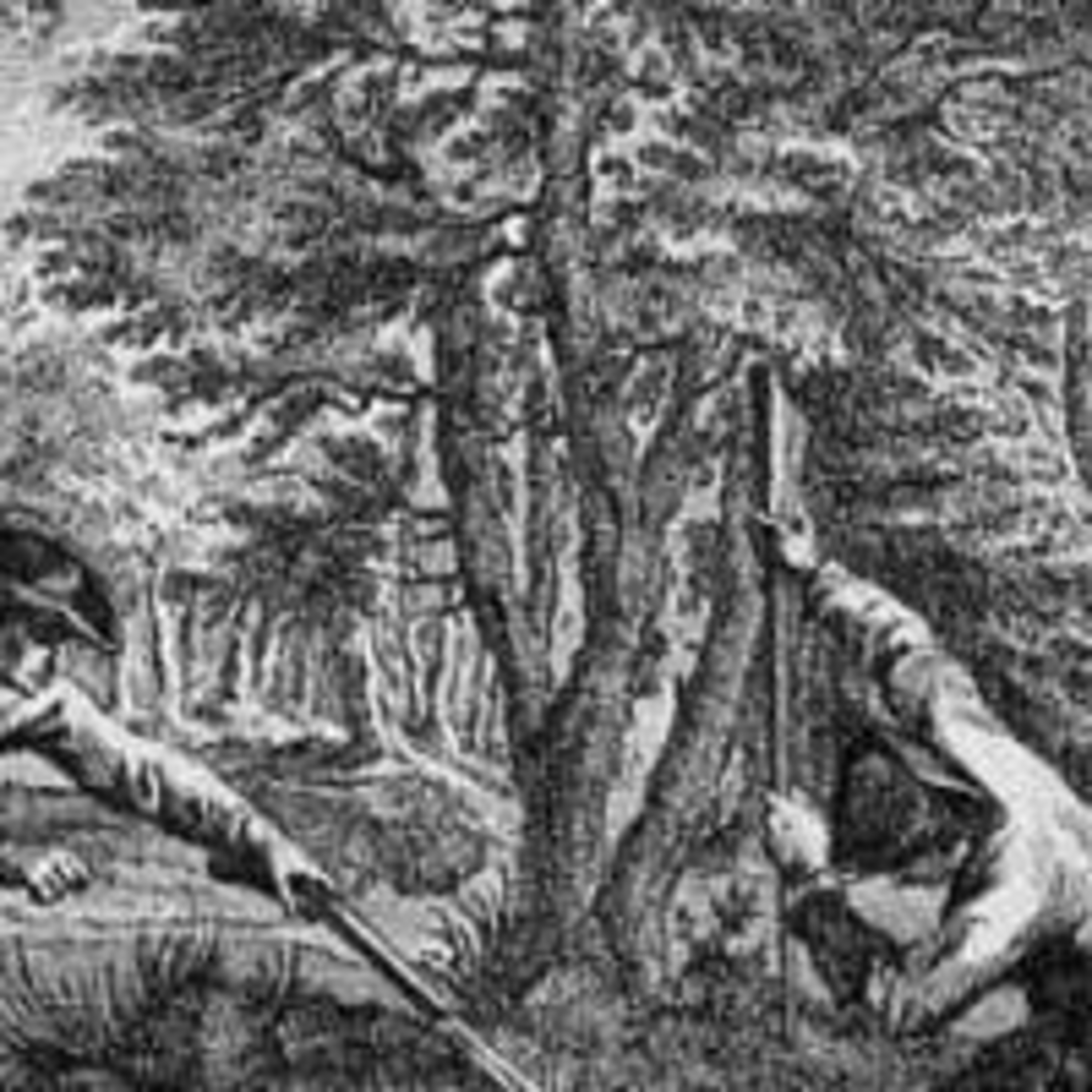 Mercury and the Man bitten by an Ant episode artwork