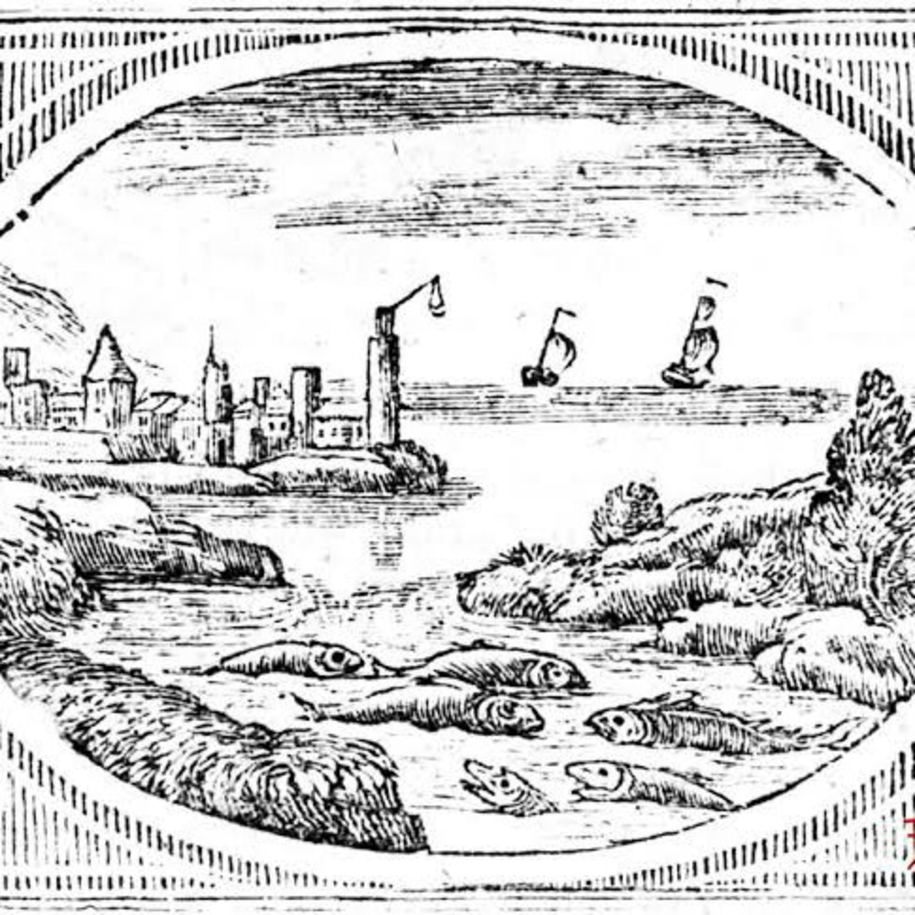 The River Fish and the Sea Fish episode artwork