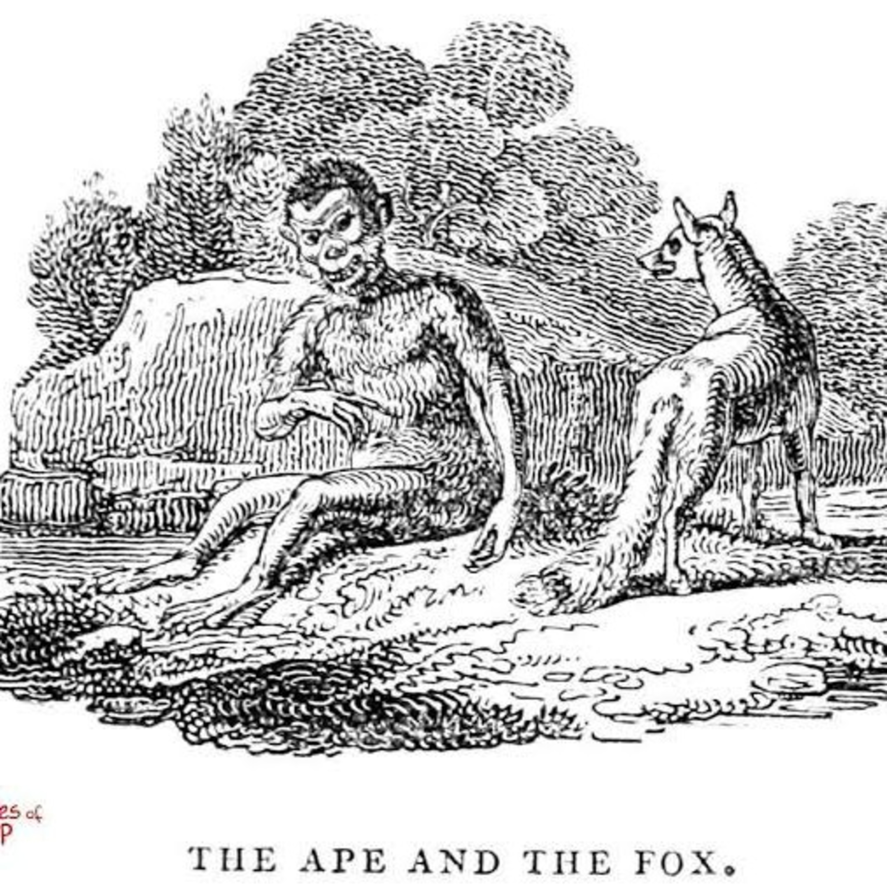 An Ape and a Fox episode artwork