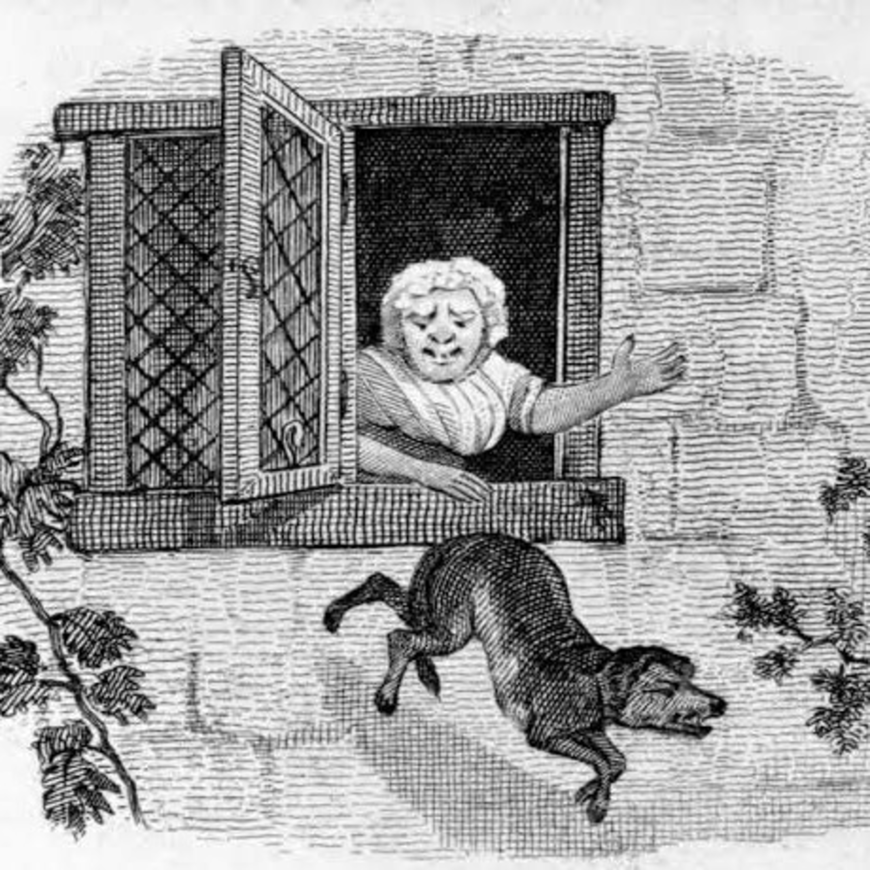 The Dog and the Cook episode artwork