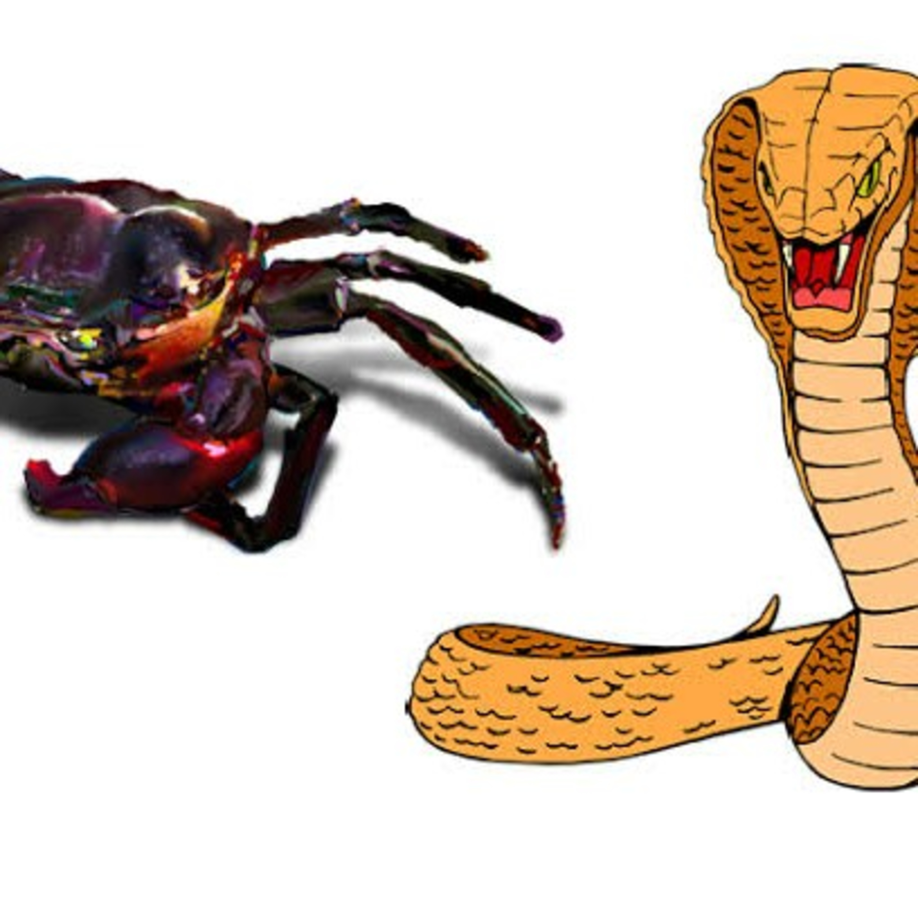 The Snake and the Crab episode artwork