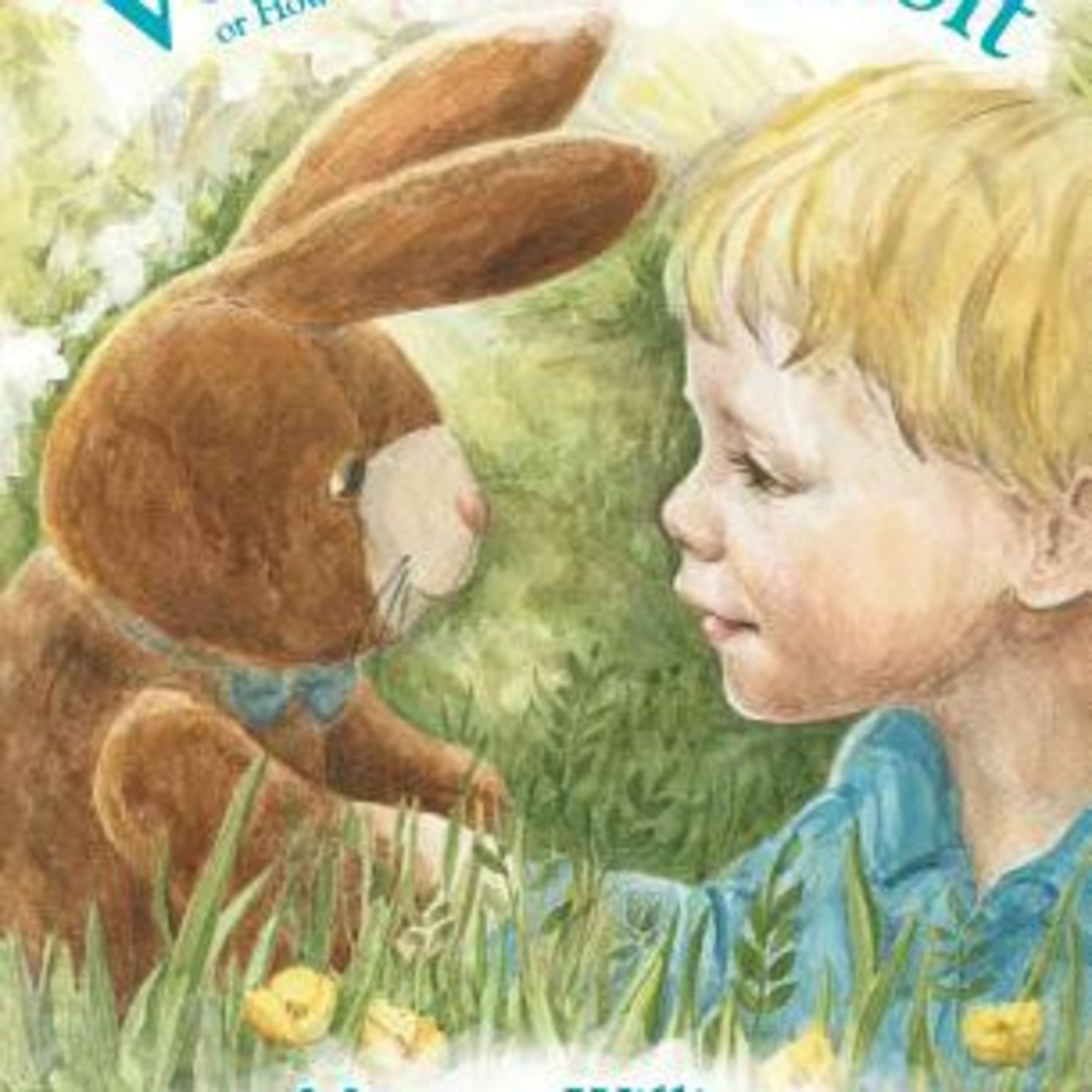 The Velveteen Rabbit episode artwork