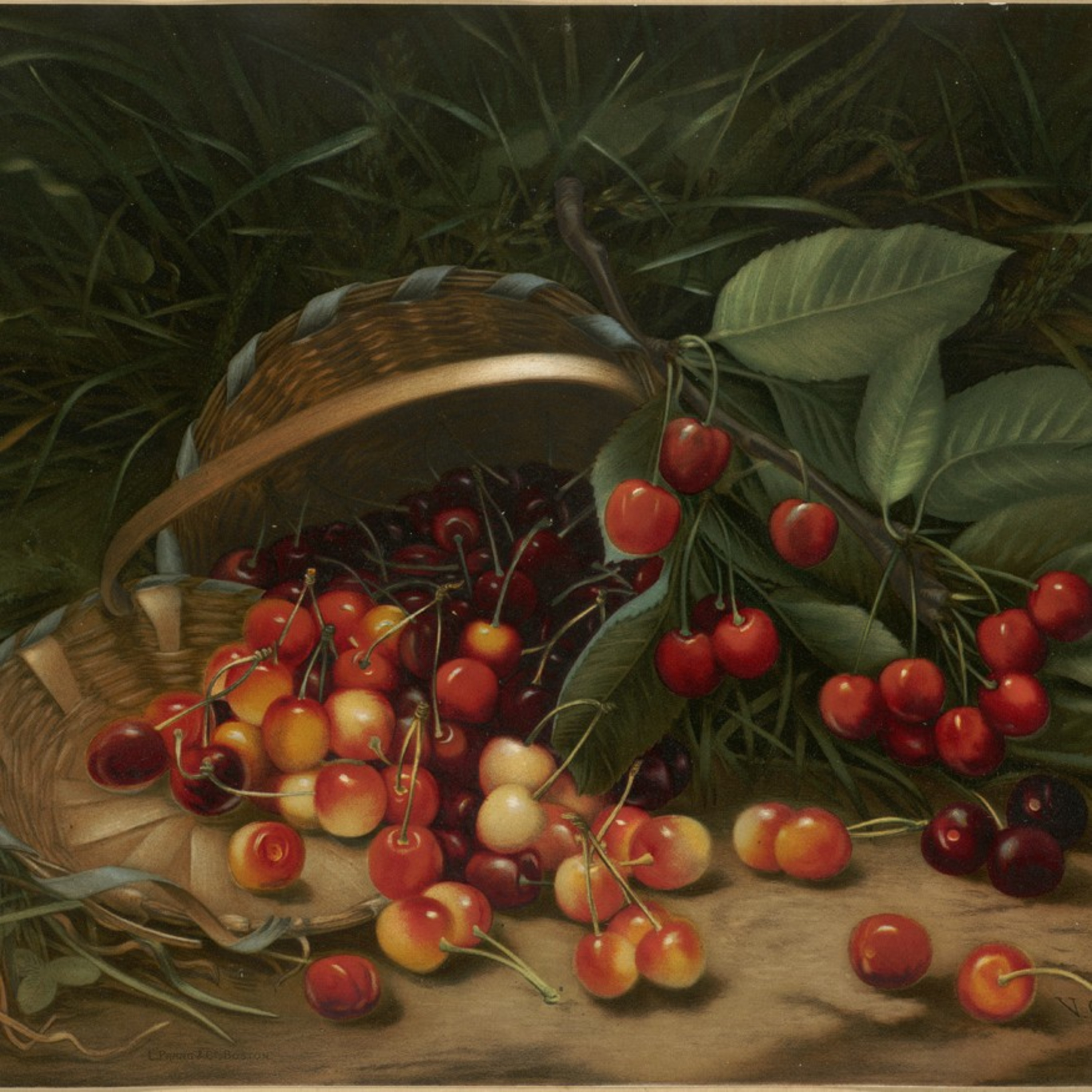 The Christmas Cherries episode artwork