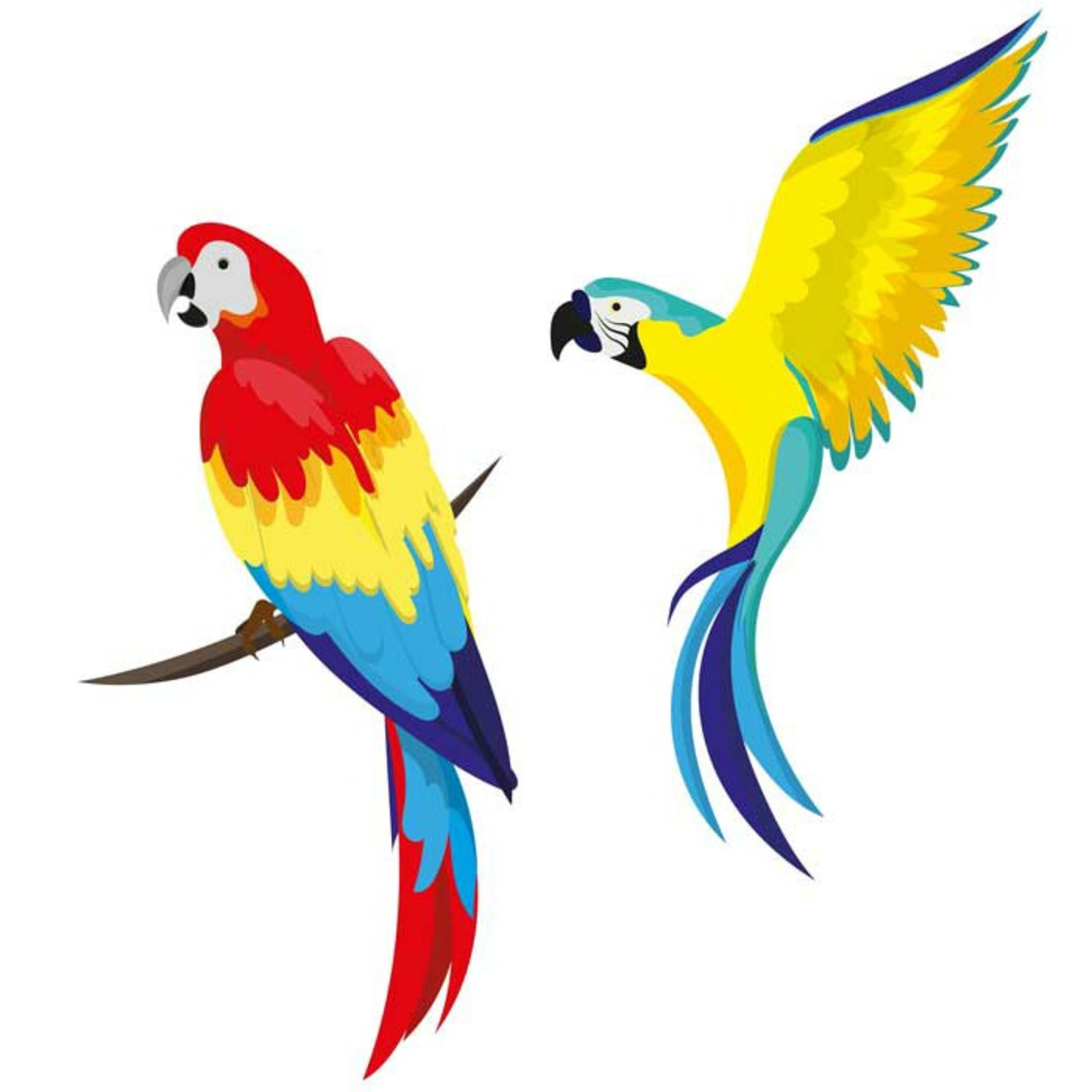 A Wise Parrot episode artwork
