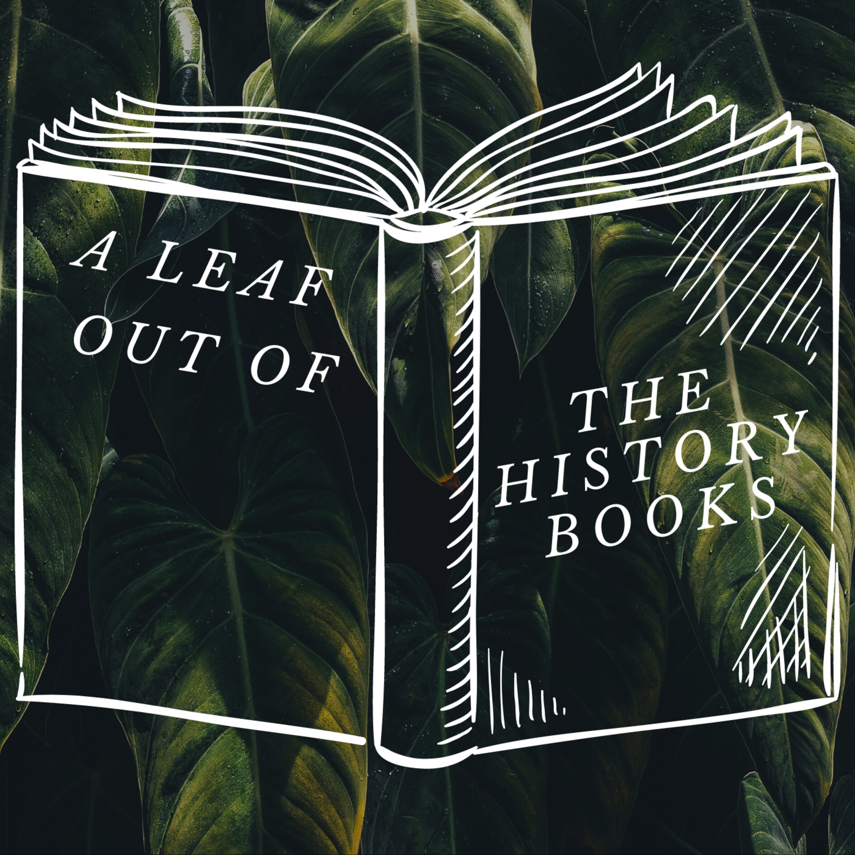 A leaf out of the History books