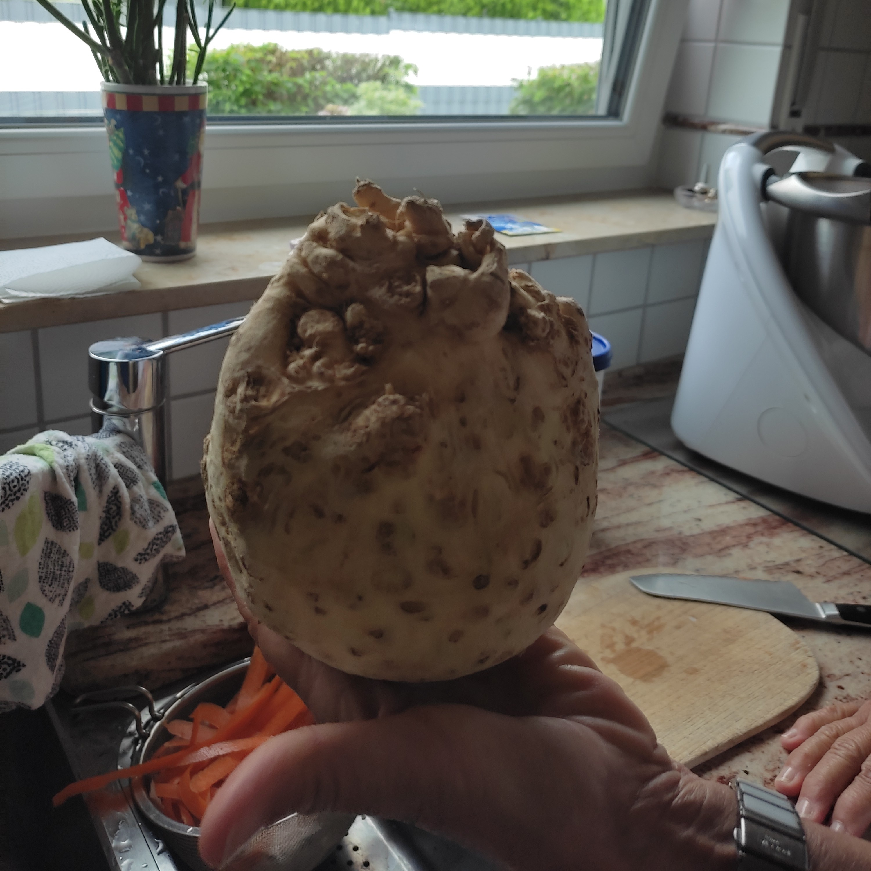 Oma und Layla kochen die Welt #1 episode artwork