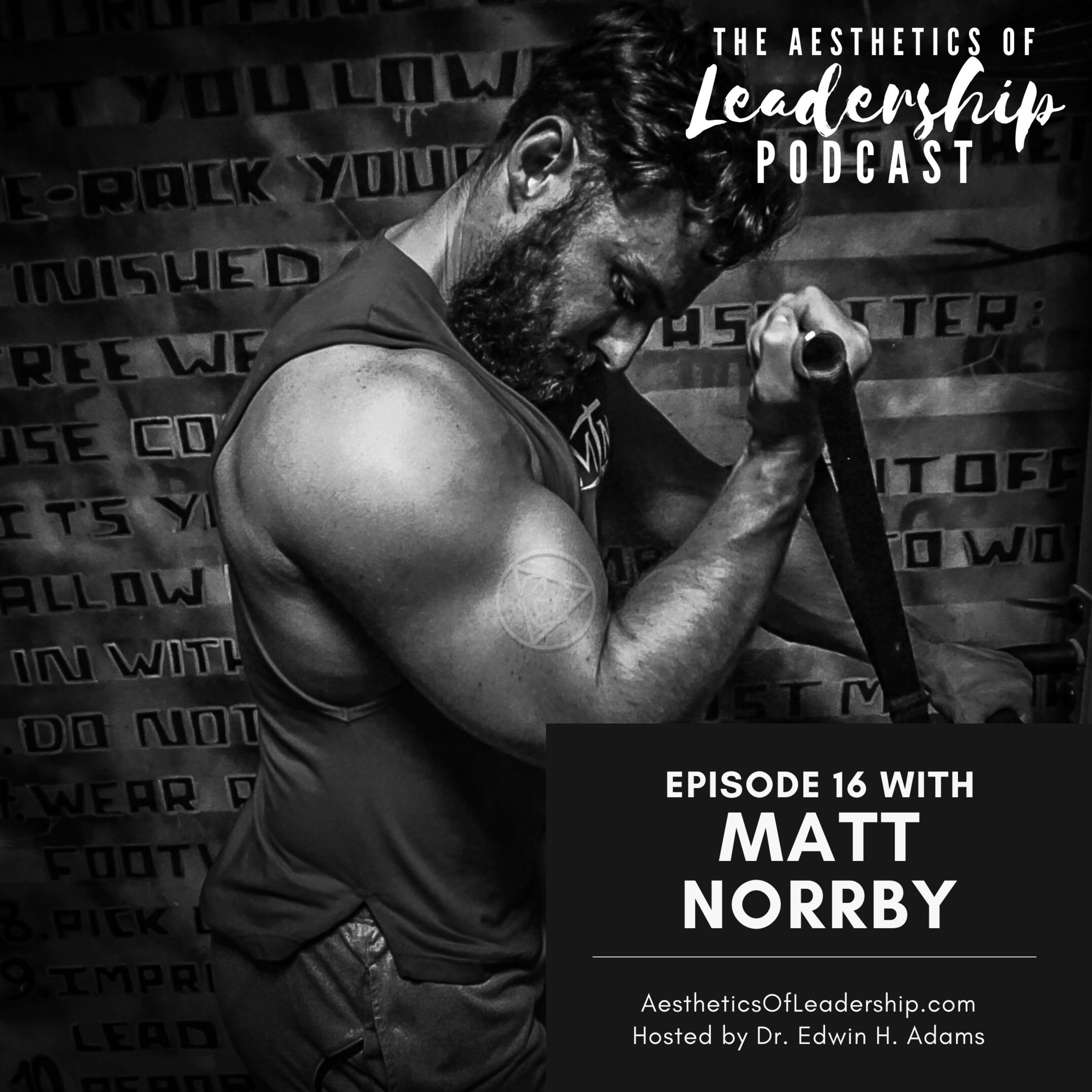 The Aesthetics of Leadership