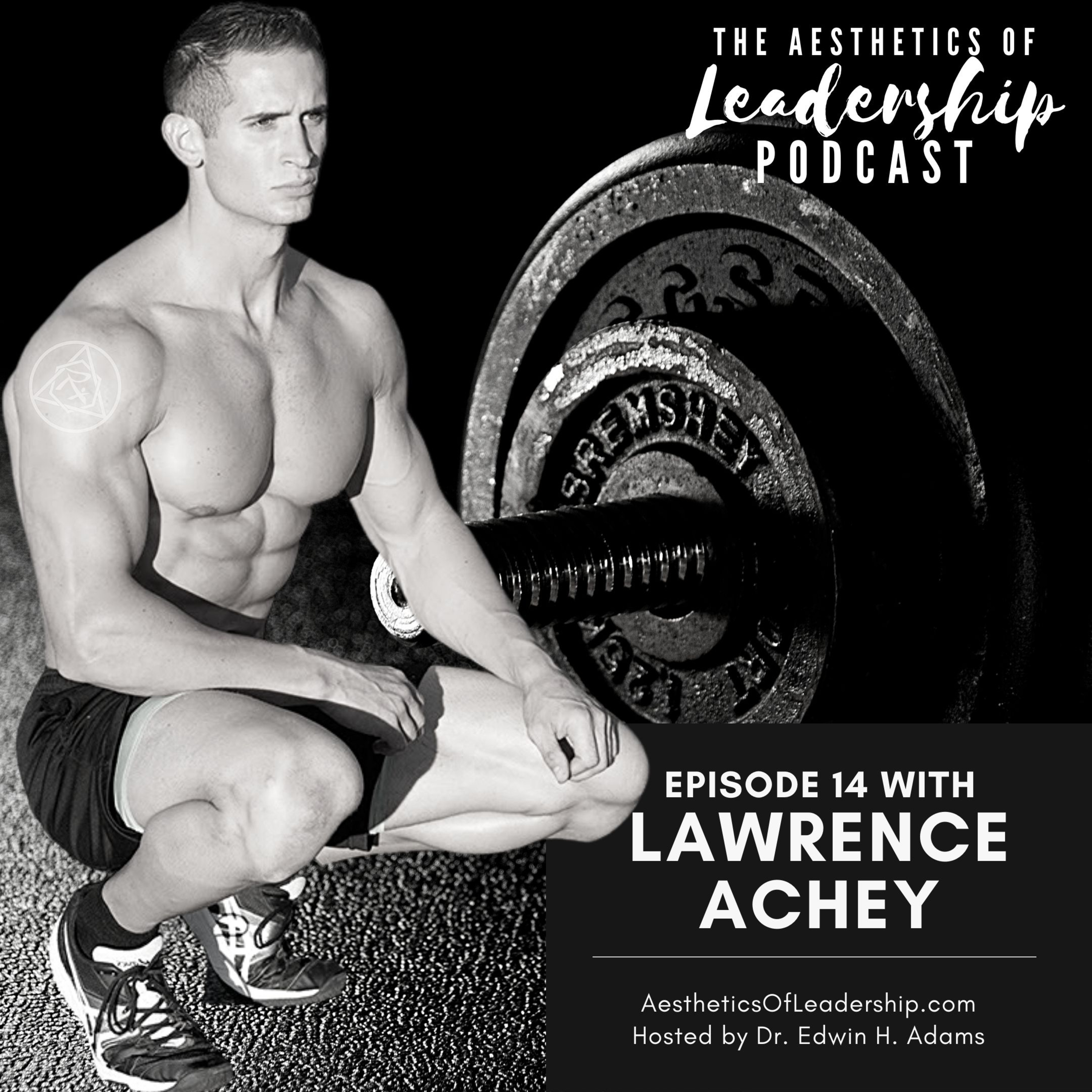 The Aesthetics of Leadership
