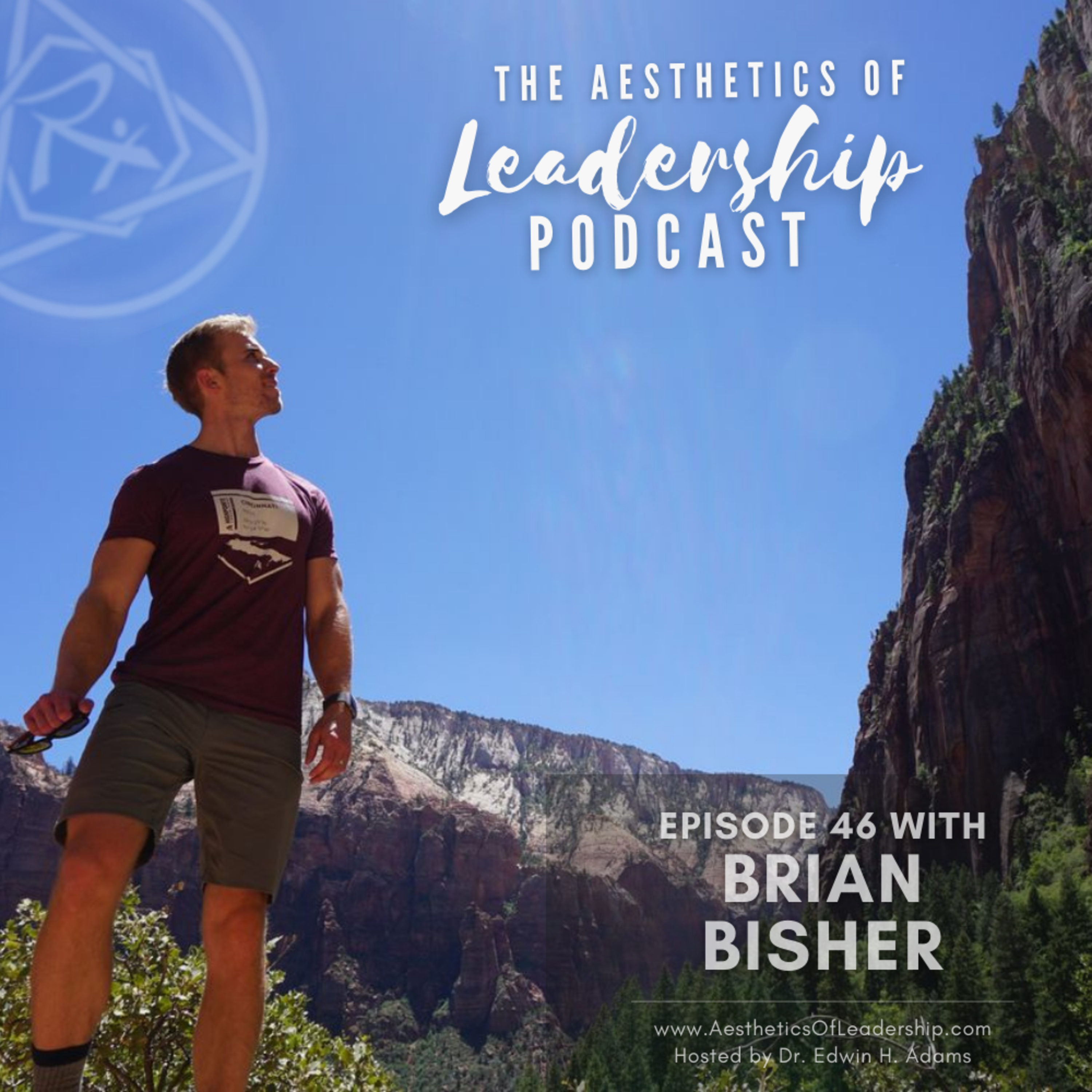 The Aesthetics of Leadership