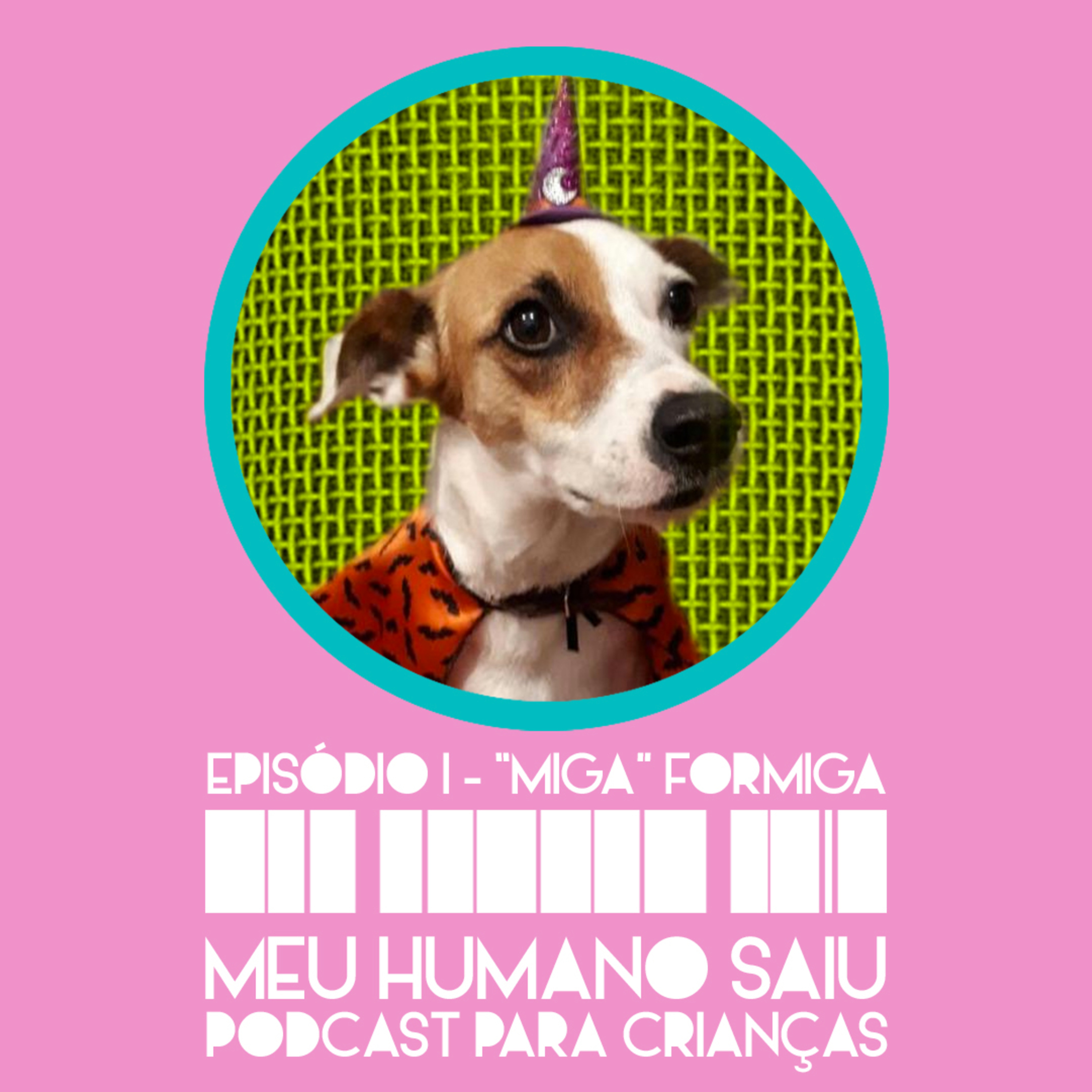 Meu Humano Saiu