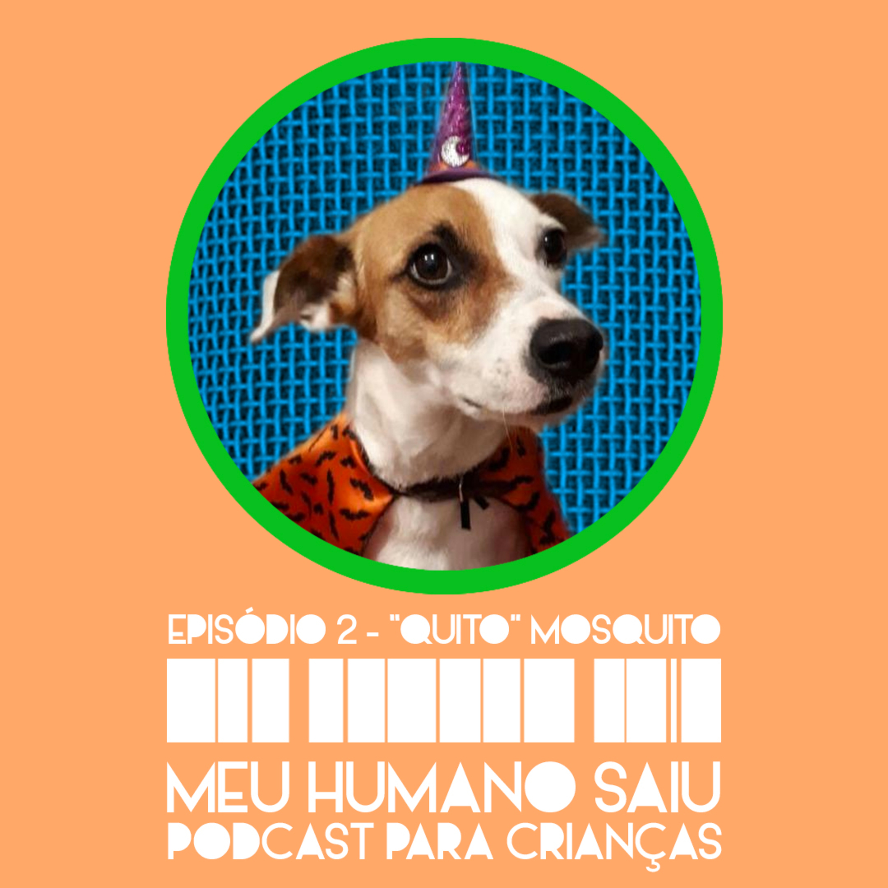 Meu Humano Saiu