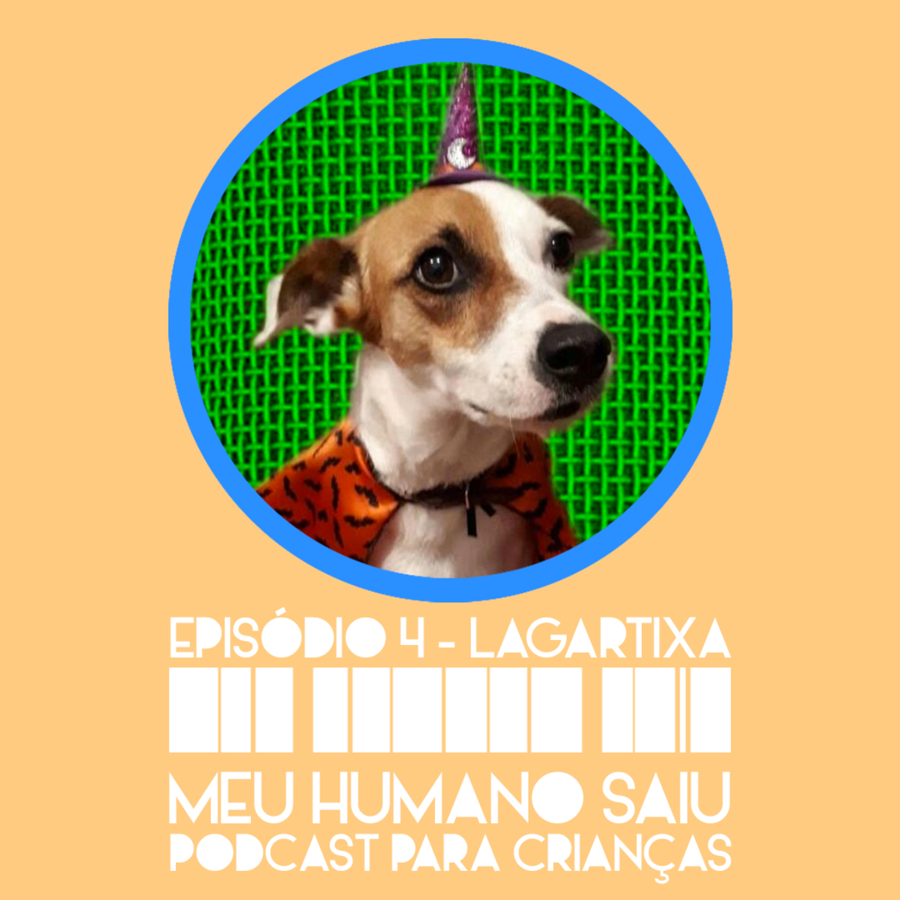 Meu Humano Saiu