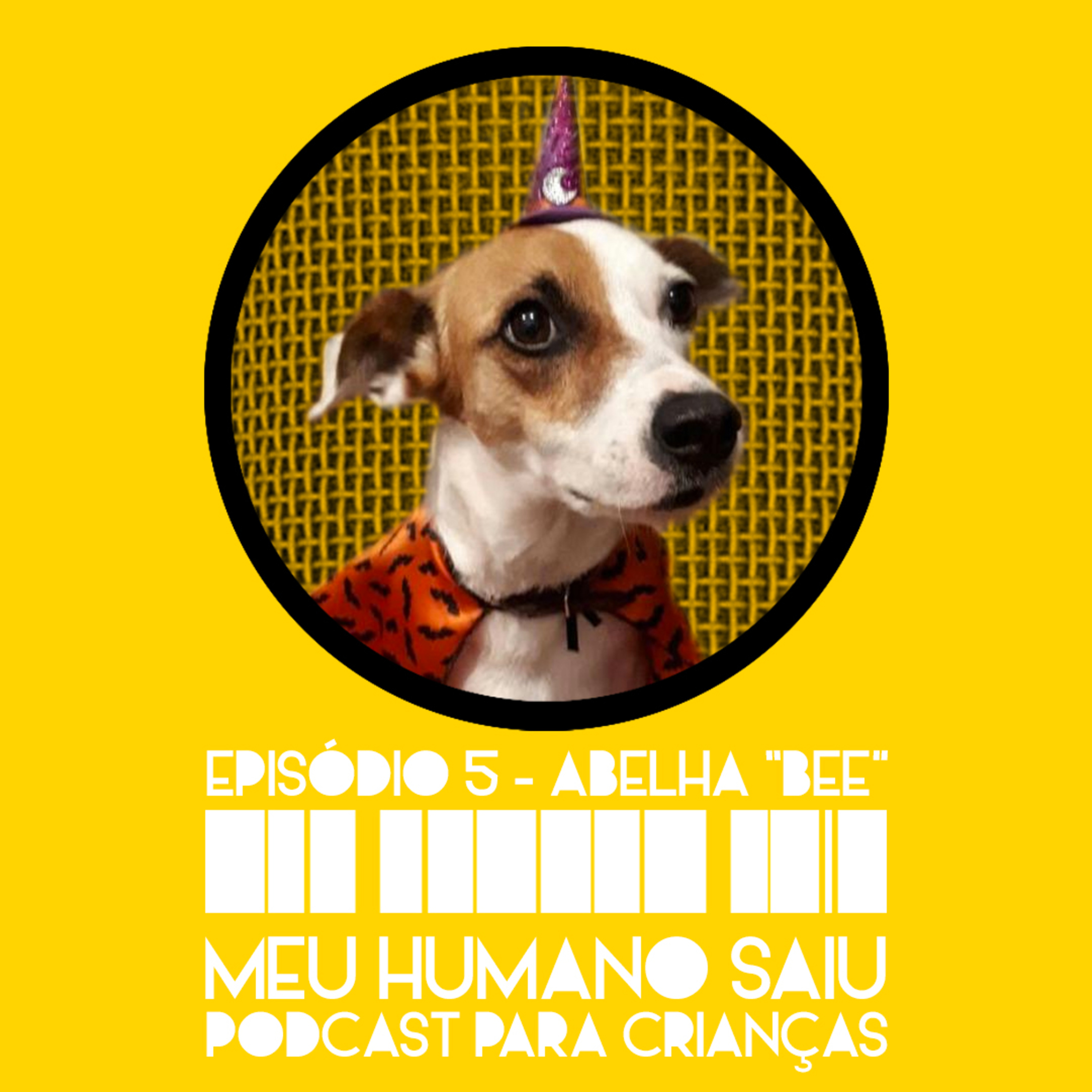 Meu Humano Saiu