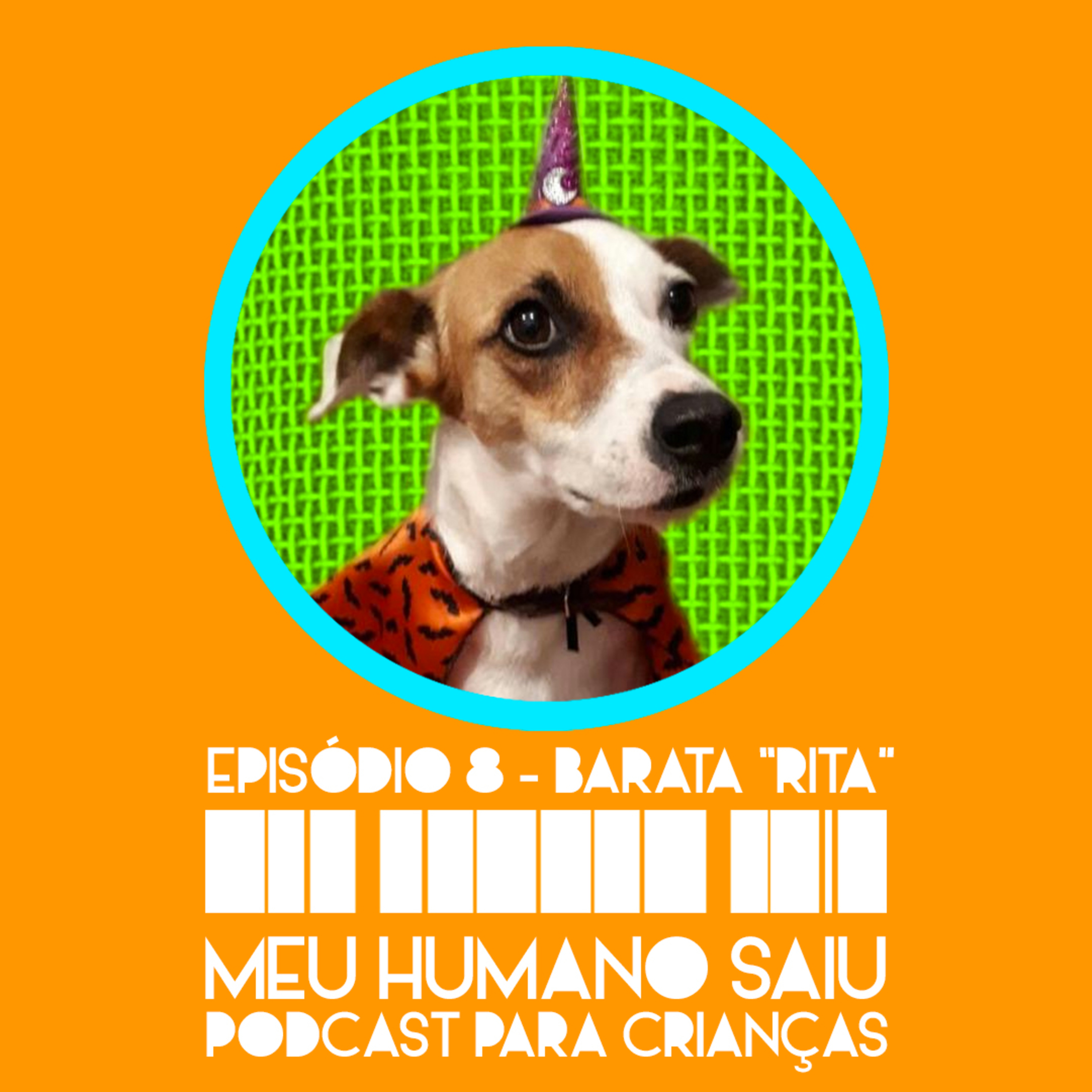 Meu Humano Saiu